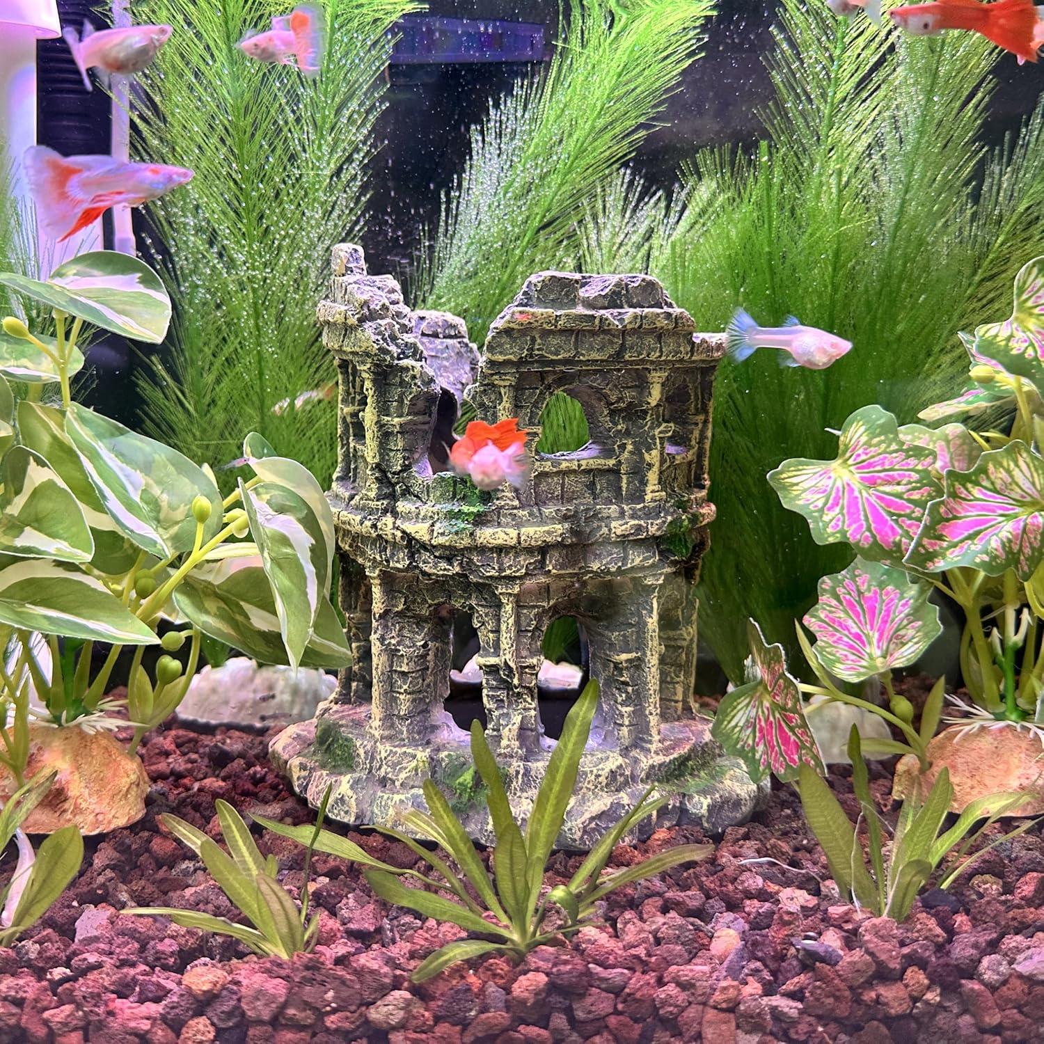 Plantas de Acuario M2cbridge - 2 Piezas de 30.48 cm Verde