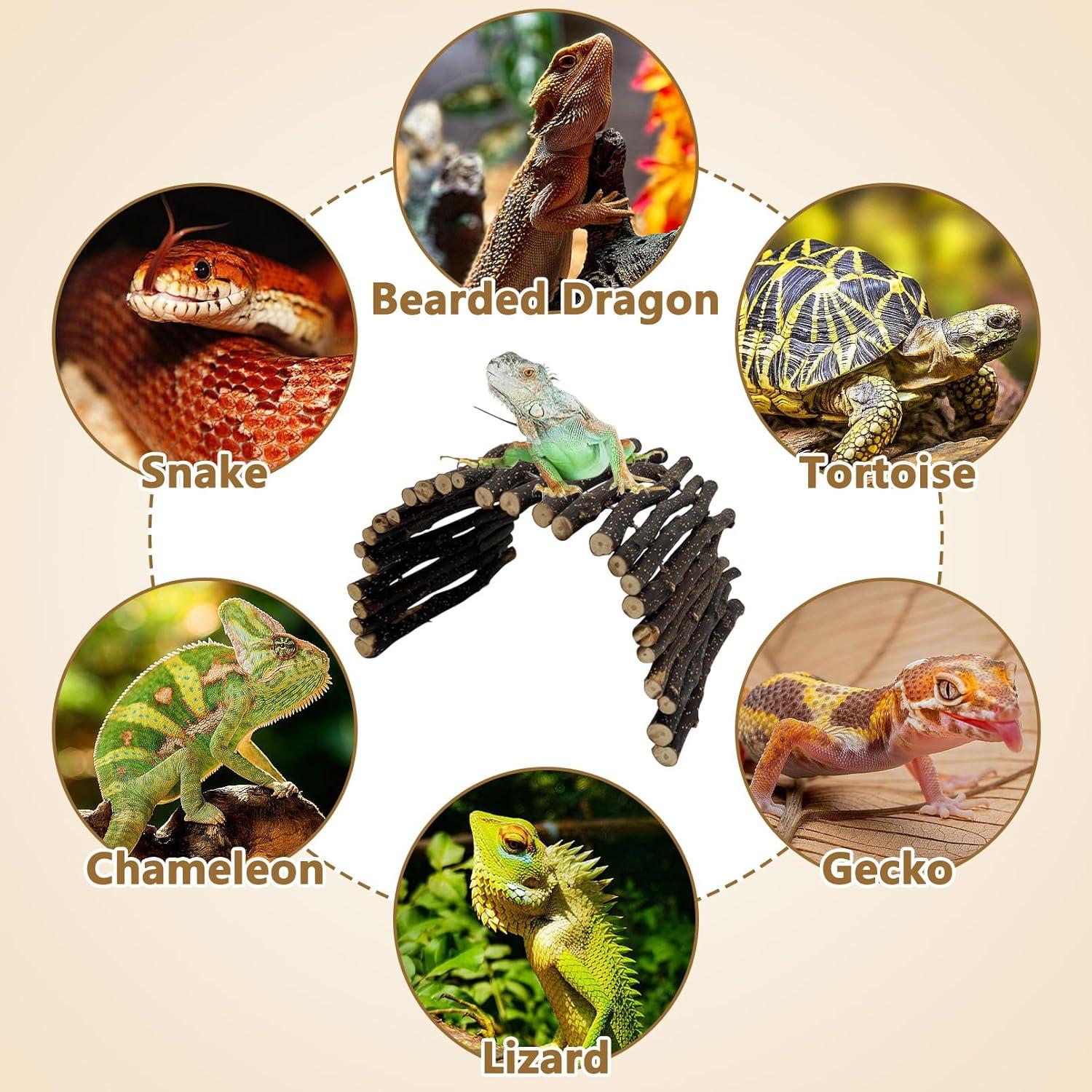 Escondite de Madera para Reptiles Hamiledyi 30x15 cm