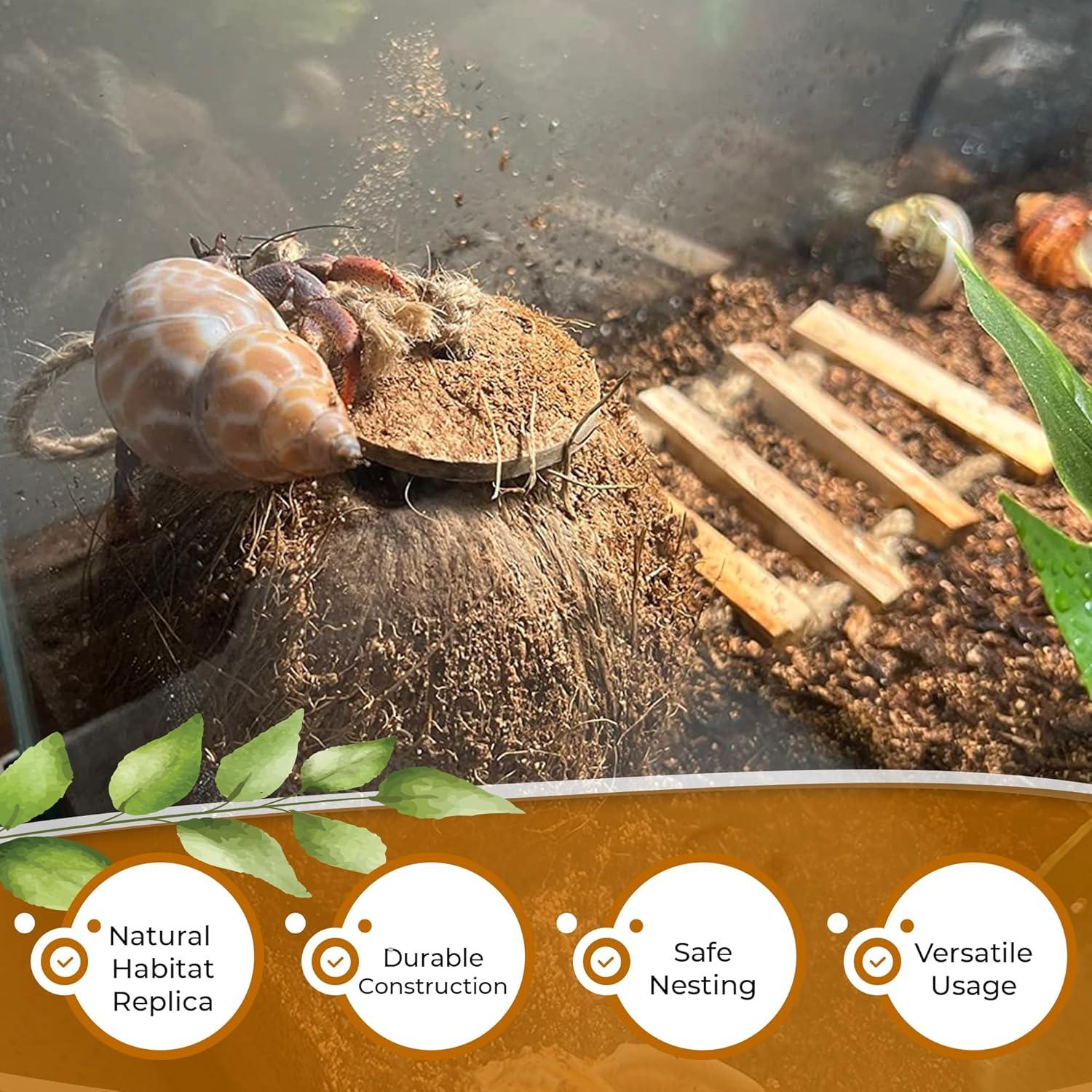 Cueva de Coco Favozio para Cangrejo Ermitaño y Mascotas Pequeñas