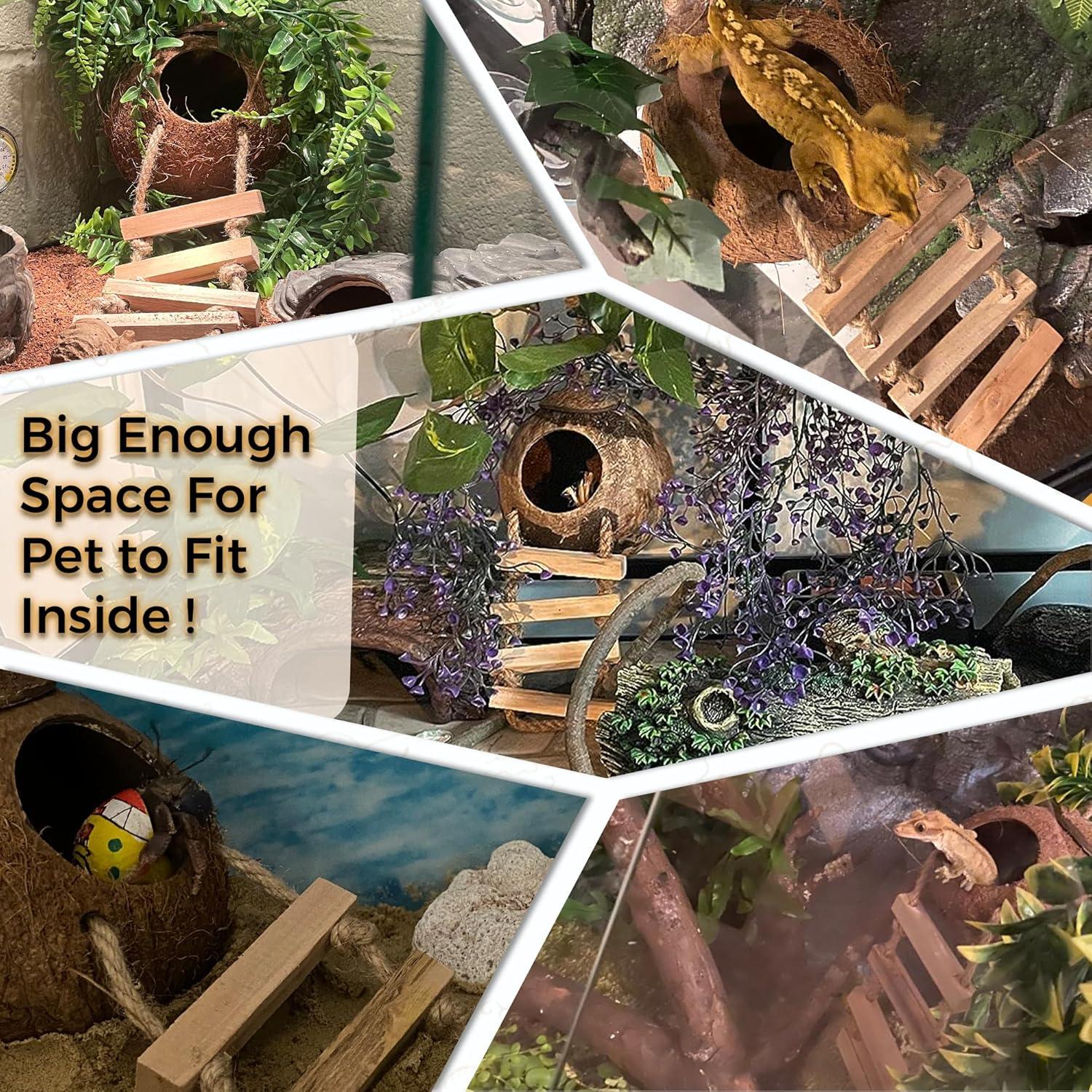 Cueva de Coco Favozio para Cangrejo Ermitaño y Mascotas Pequeñas