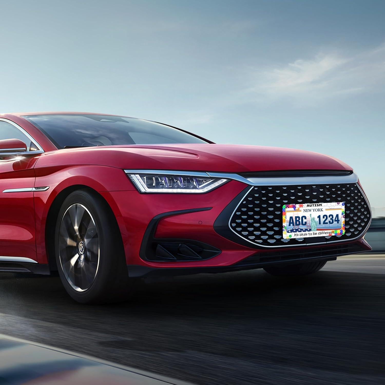 Marco de Placa de Licencia Acero Inoxidable UNINDREM 31x16 cm