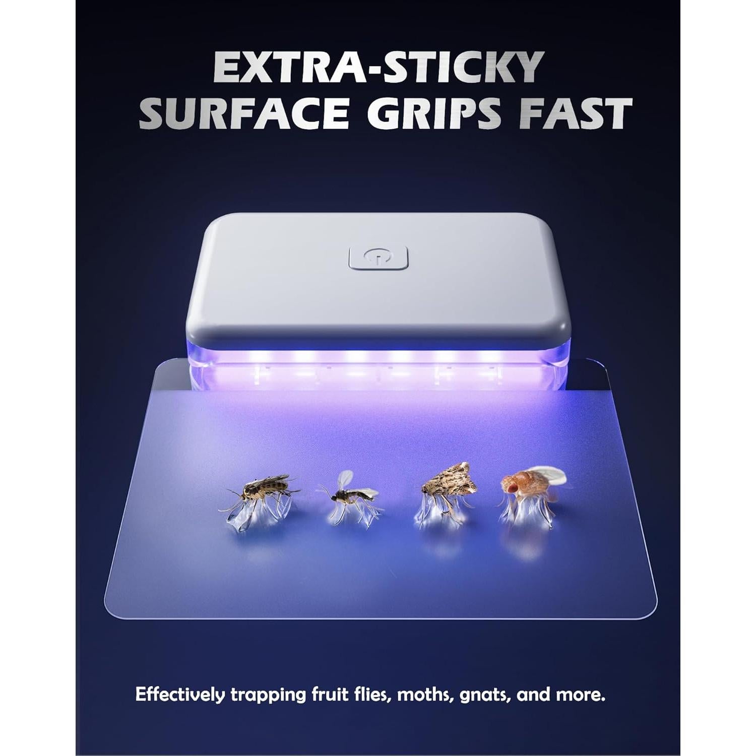 Trampa para Moscas de Fruta LFSYS CD1-107 con 10 Recargas