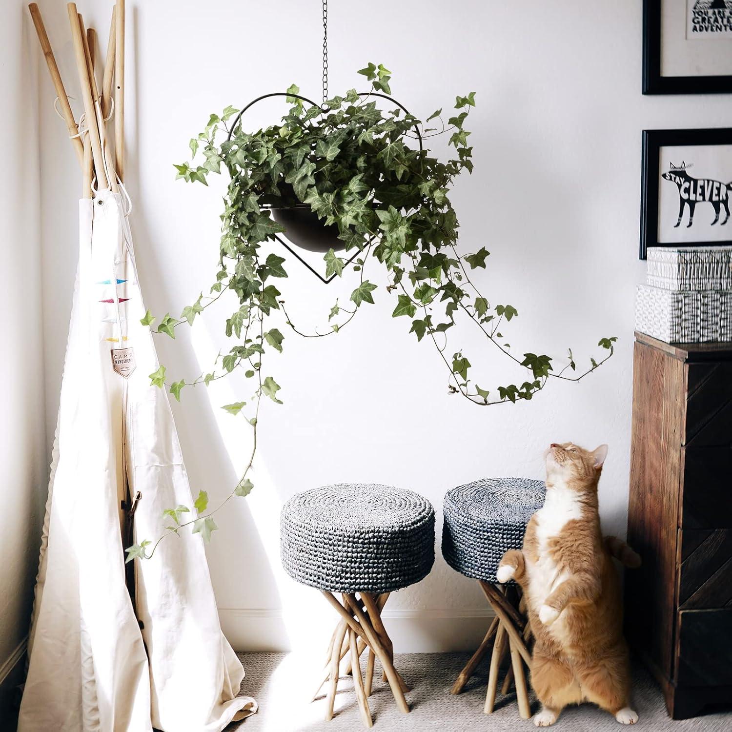 Soporte Colgante de Planta Corazón Hajia 19 cm Metal Negro