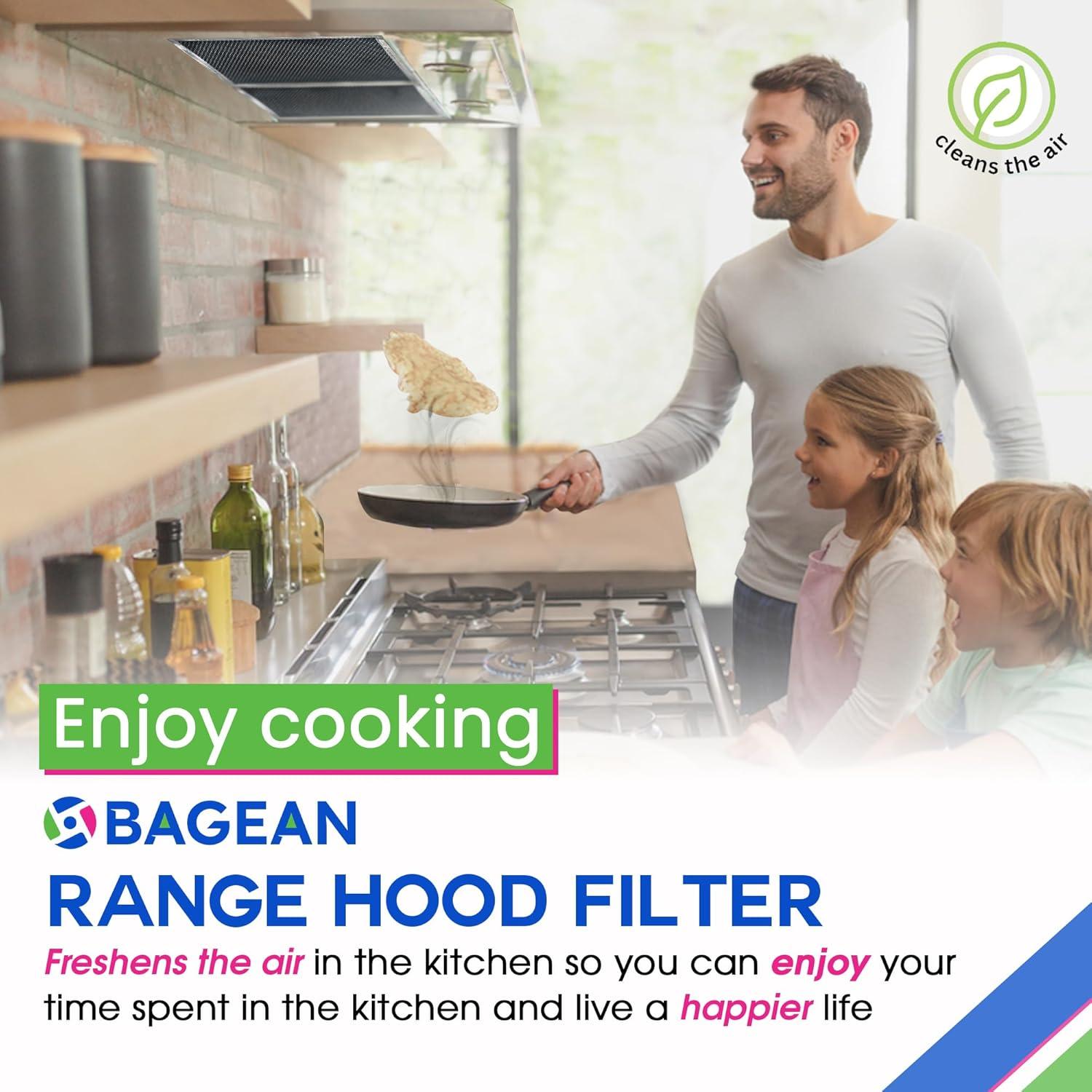 Filtro de Campana Bagean LL62F 28.58x21.59cm Carbón Graso