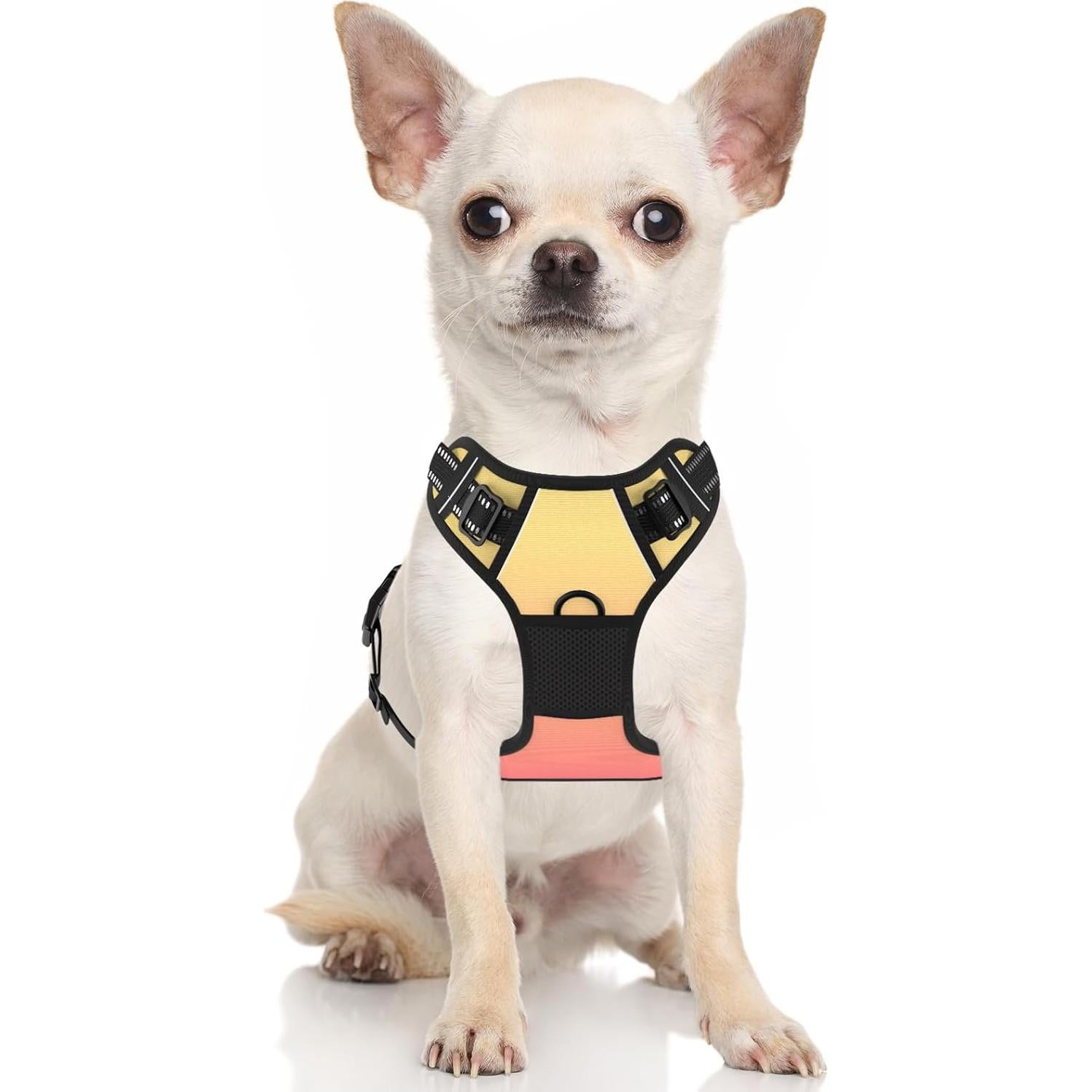 Arnés para Perros Rnivvi Pequeño Reflectante Ajustable