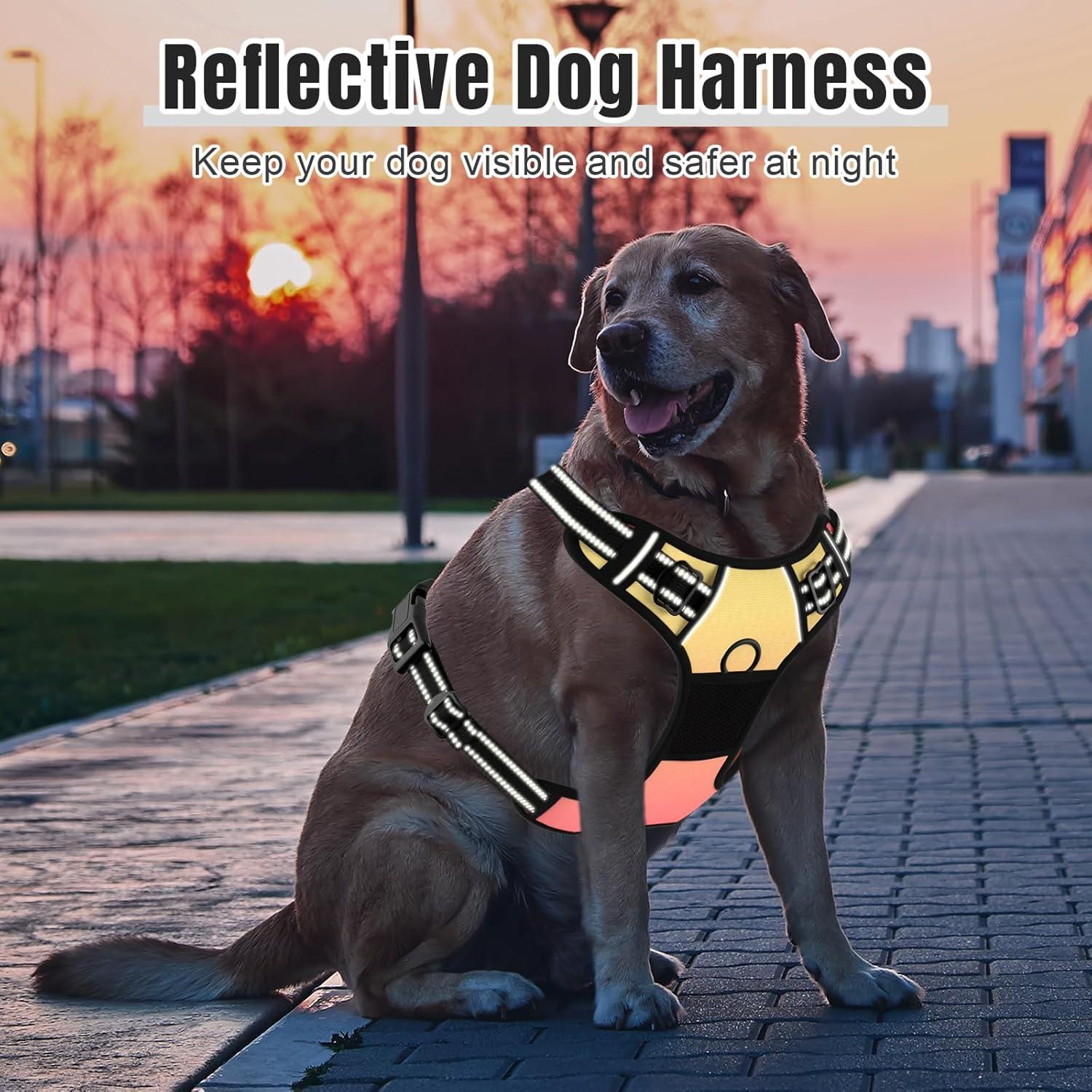 Arnés para Perros Rnivvi Pequeño Reflectante Ajustable