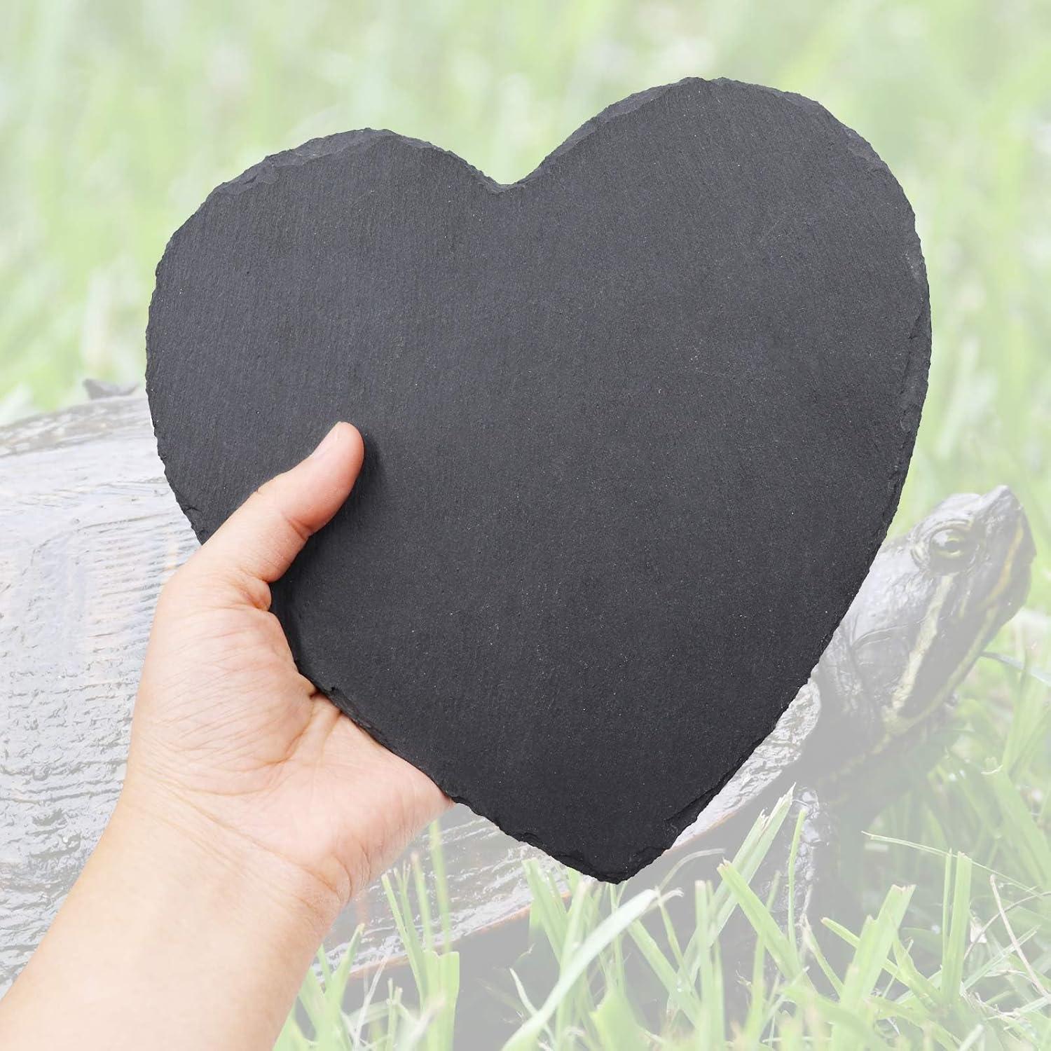 Plataforma de Sol y Alimentación para Reptiles Oooct 20 cm