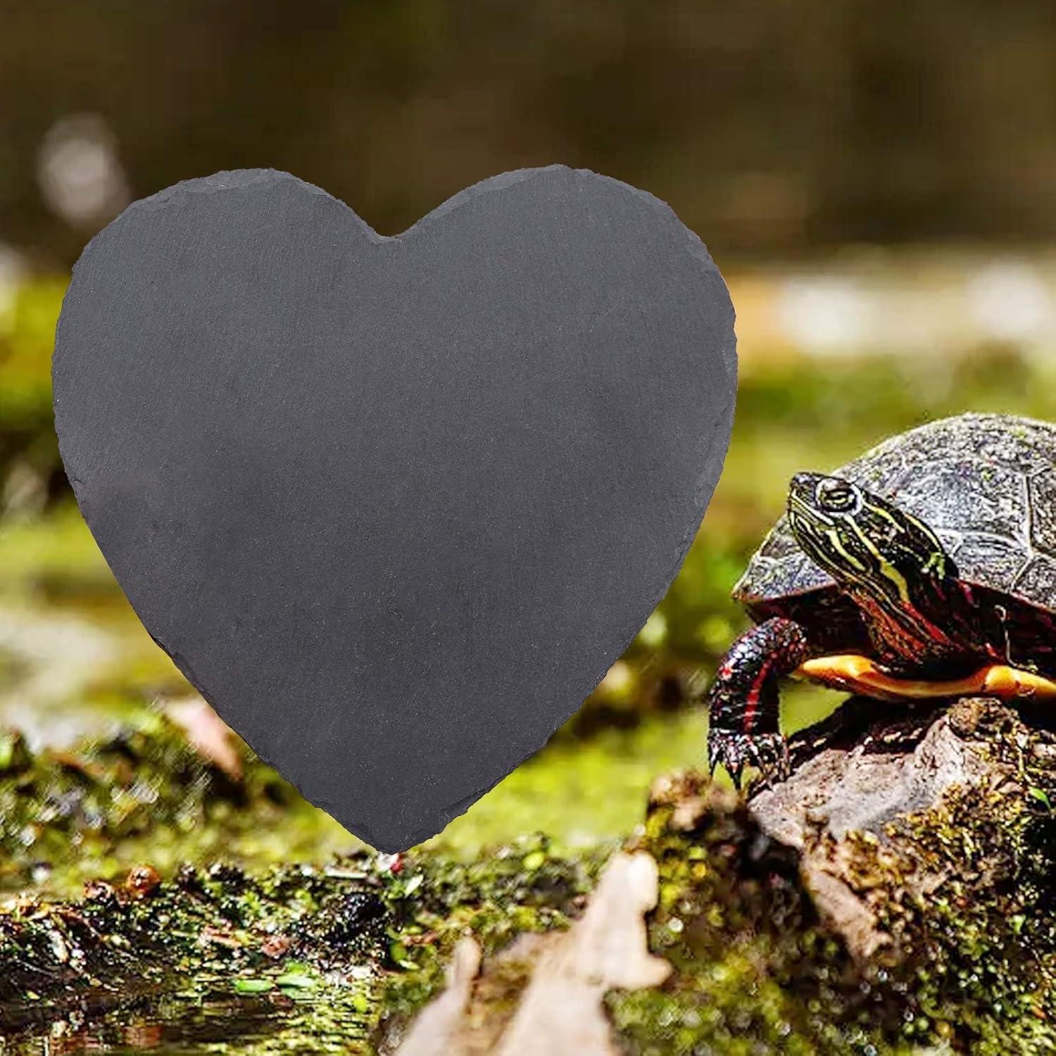 Plataforma de Sol y Alimentación para Reptiles Oooct 20 cm