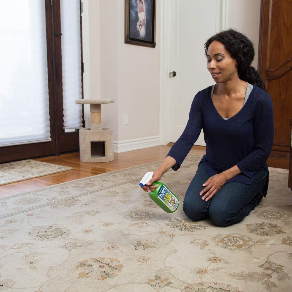 Removedor de Manchas y Olores para Gatos Simple Green 2L