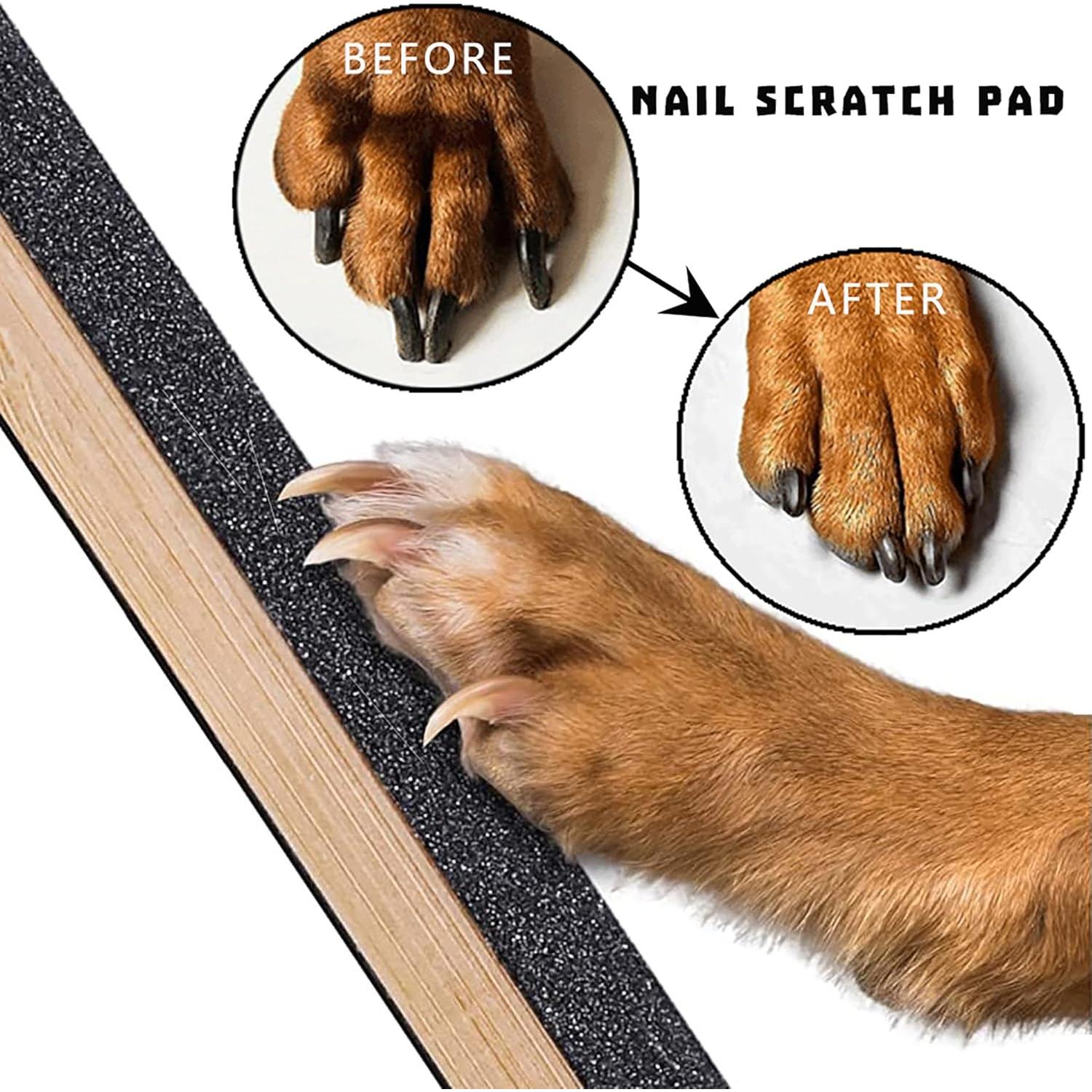 Tablero de Rascado para Perros Cdycam 39.9x22.4cm Negro