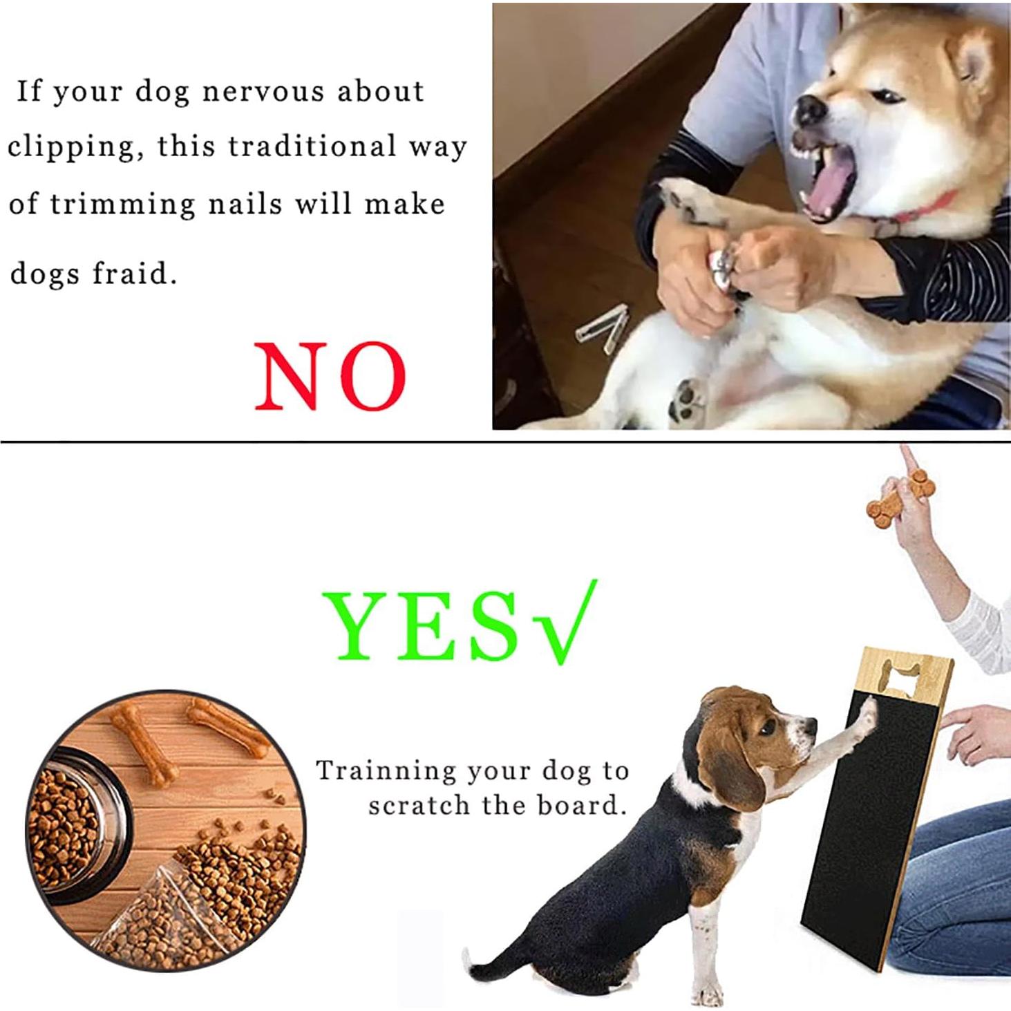 Tablero de Rascado para Perros Cdycam 39.9x22.4cm Negro