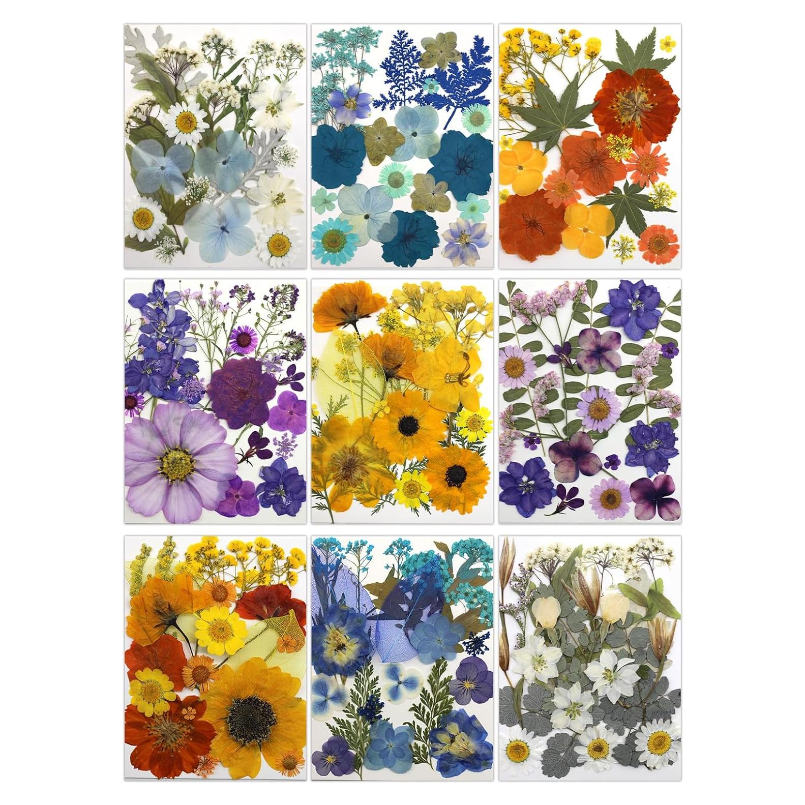 180 Flores Secas Prensadas Buzidao para Manualidades DIY