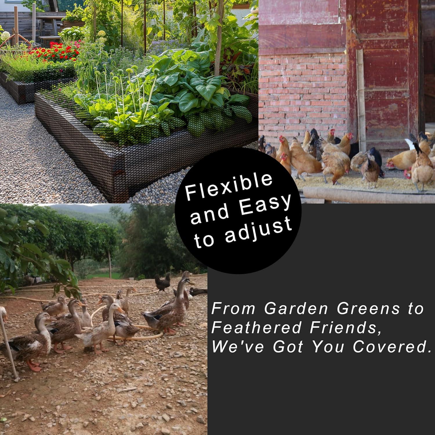 Malla de Alambre para Gallinas LIAQICHA 40x28 cm Negra