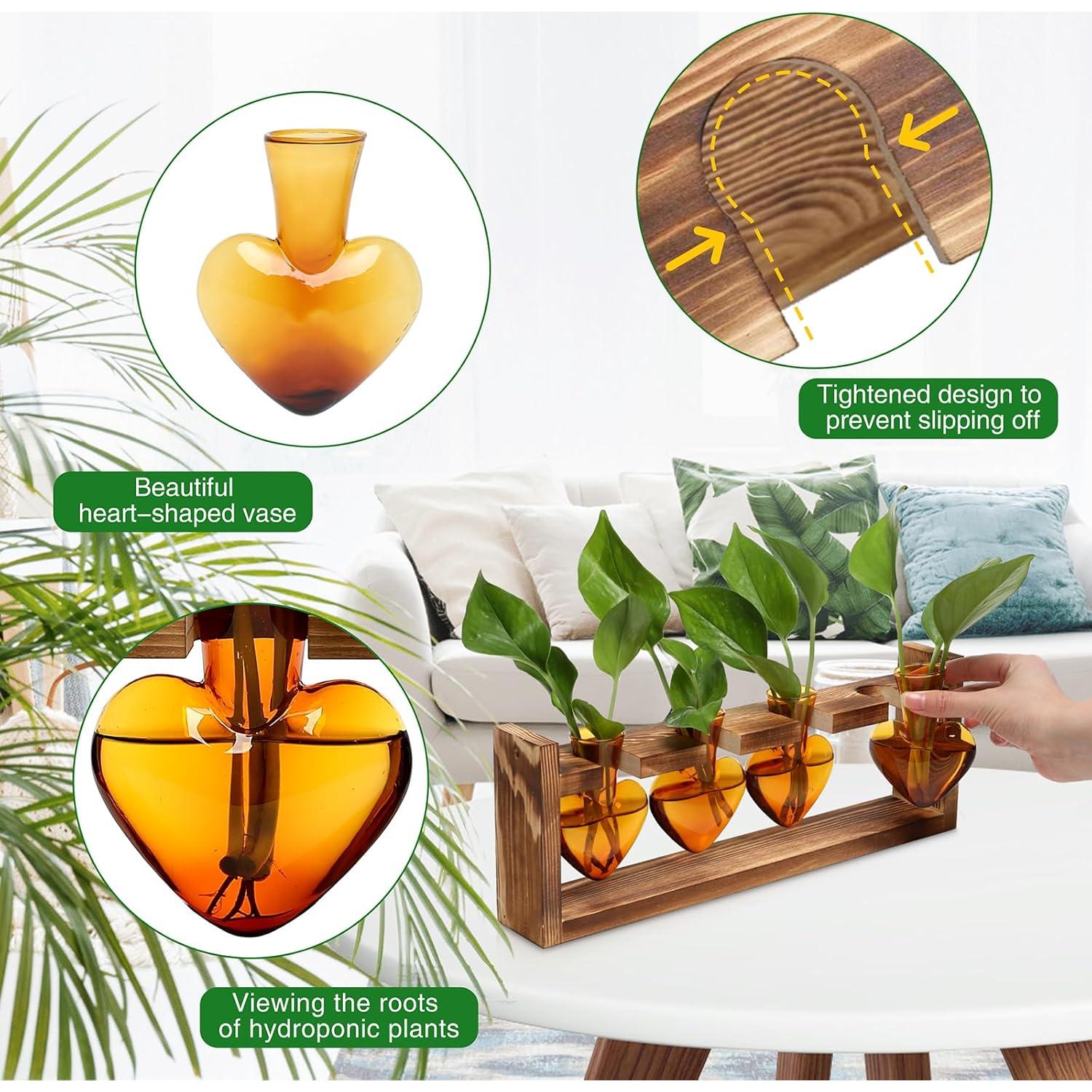 Kit de Terrario Corazón CYZglass con 4 Jarrones de Vidrio