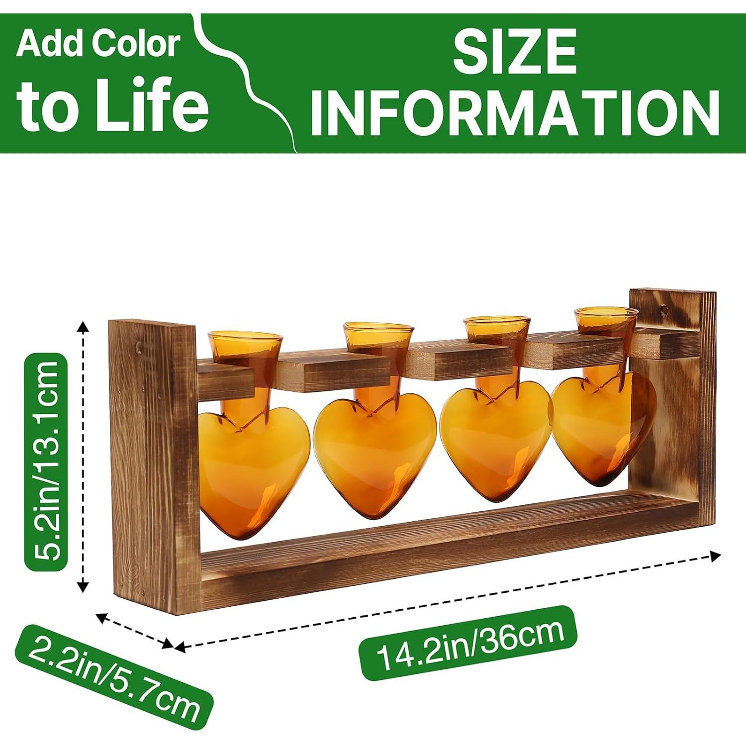 Kit de Terrario Corazón CYZglass con 4 Jarrones de Vidrio