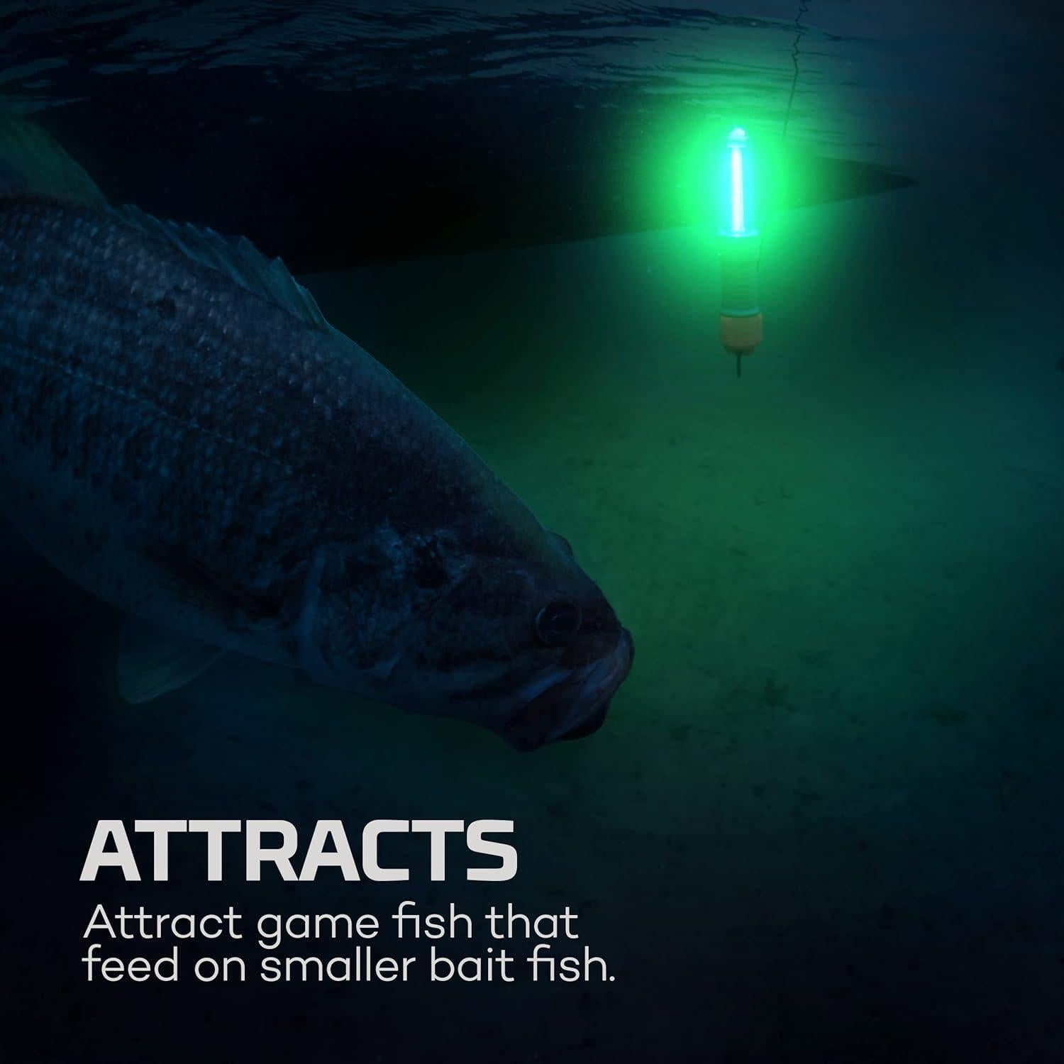 Luz de Pesca Submerser 500 NEBO Recargable IPX8 500 Lúmenes