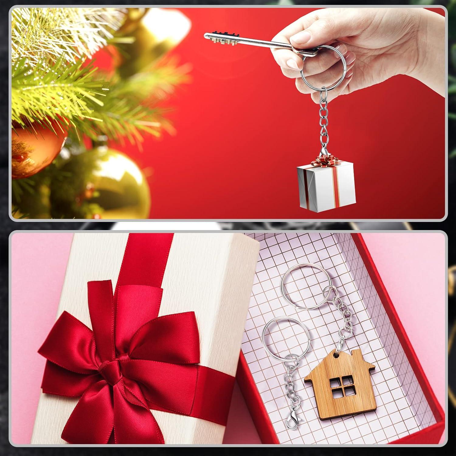 Juego de 100 Anillos de Llaveros Sasylvia Plateado para Manualidades