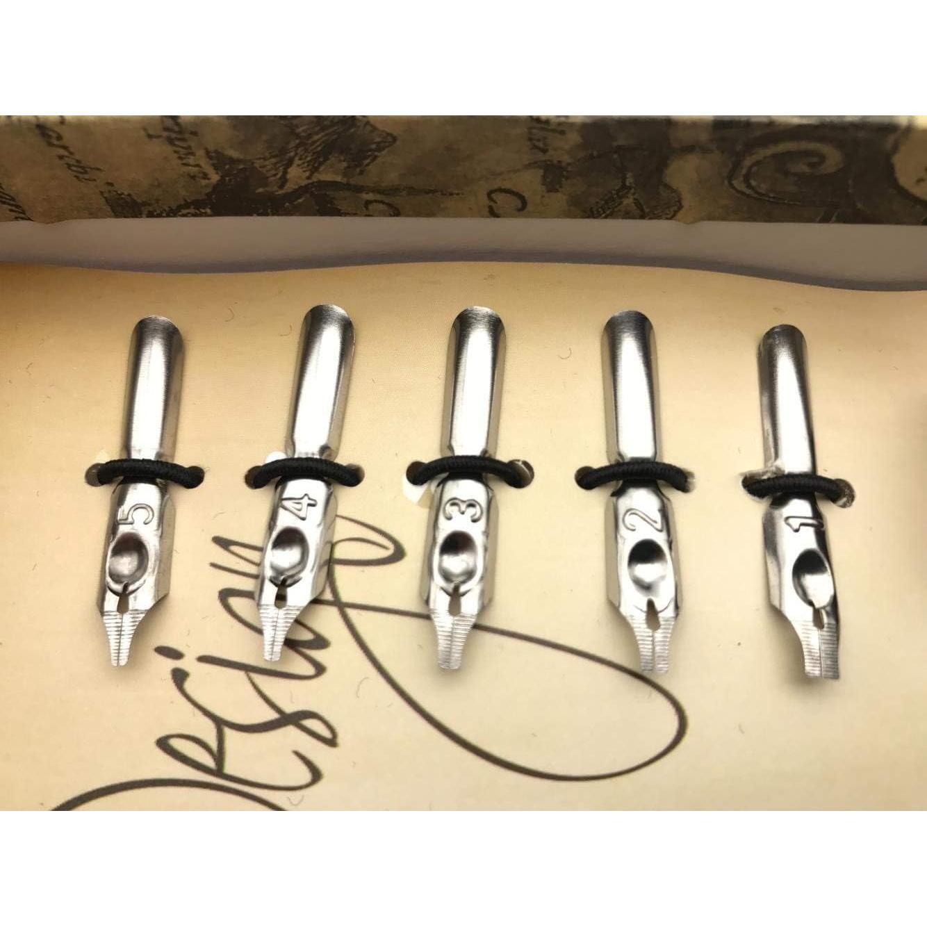 Juego de Plumas de Caligrafía GracesDawn con Tinta Negra