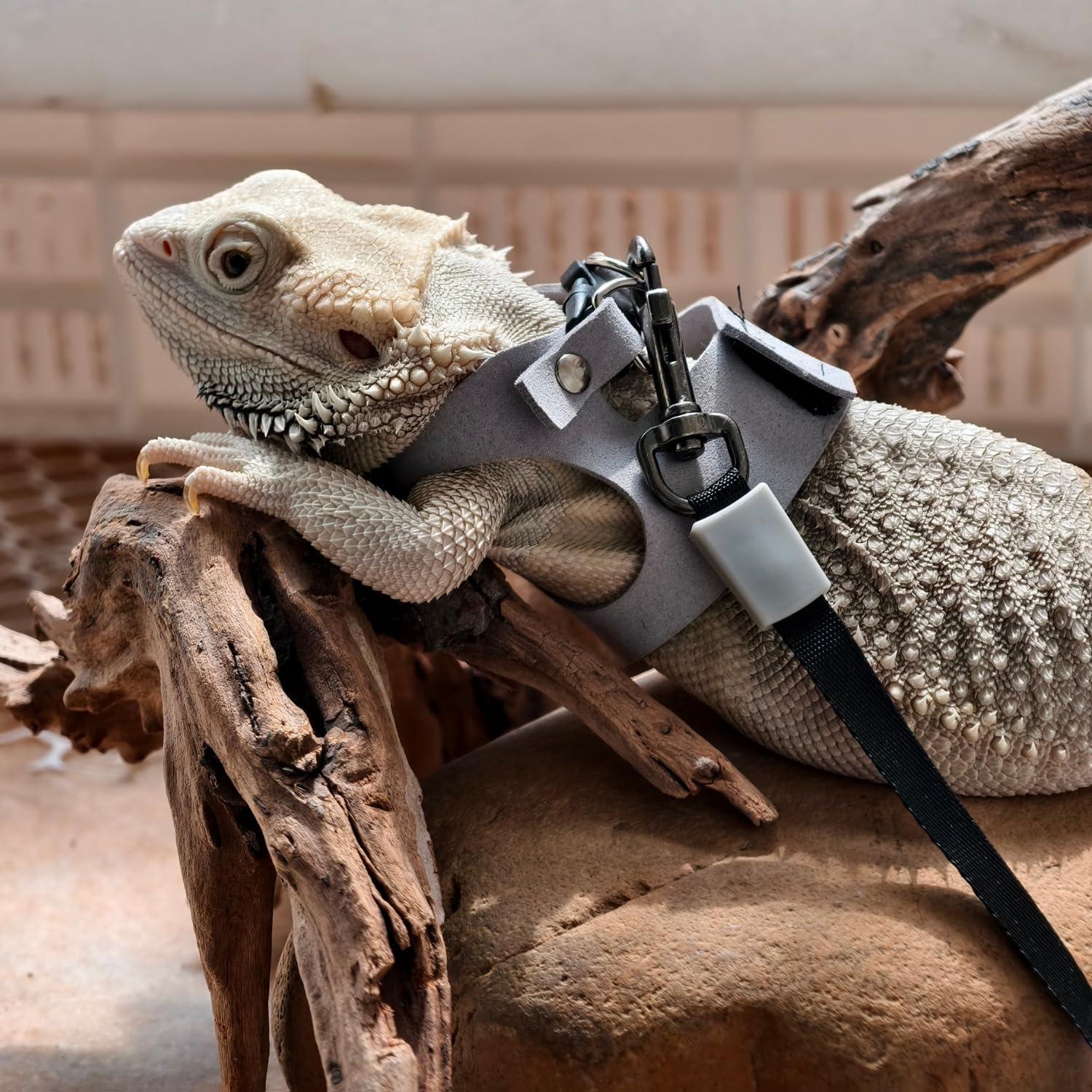 Juego de Arnés y Correa TTMIMIK para Dragón Barbudo - 3 Tamaños