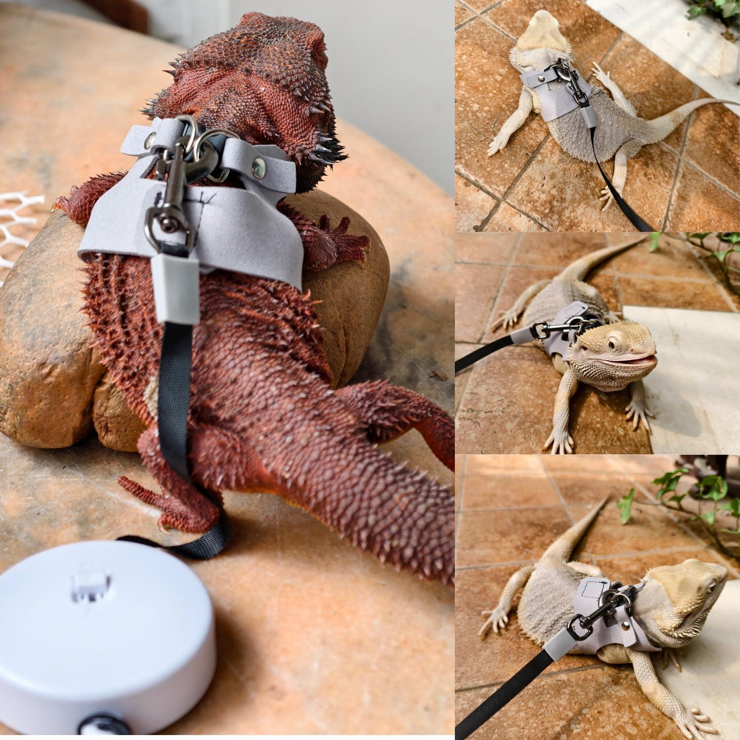 Juego de Arnés y Correa TTMIMIK para Dragón Barbudo - 3 Tamaños