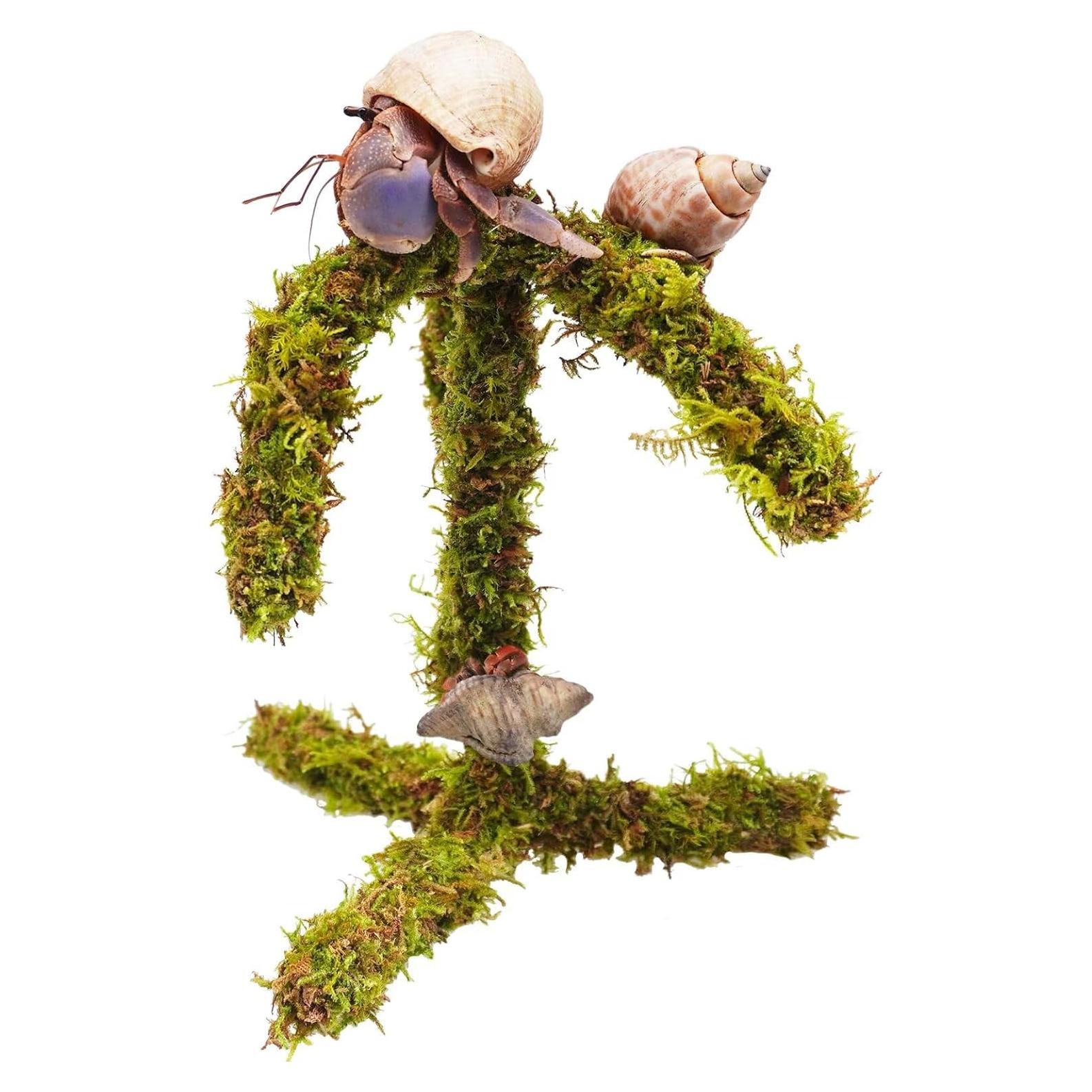 Juguete de Escalada para Cangrejo Ermitaño Jinymral 16.51 cm