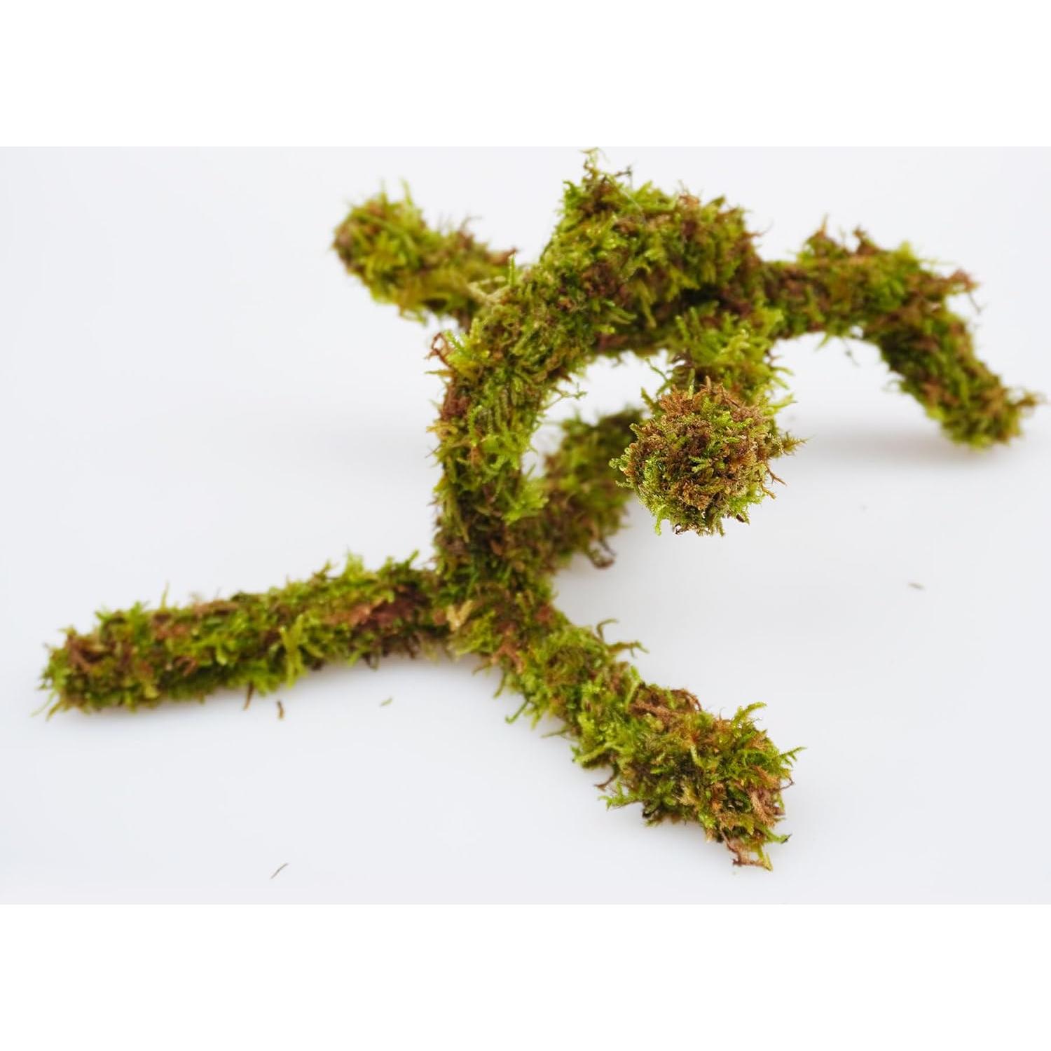 Juguete de Escalada para Cangrejo Ermitaño Jinymral 16.51 cm