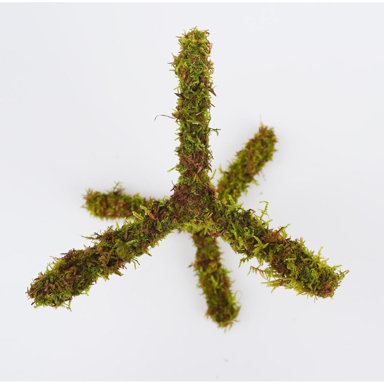 Juguete de Escalada para Cangrejo Ermitaño Jinymral 16.51 cm