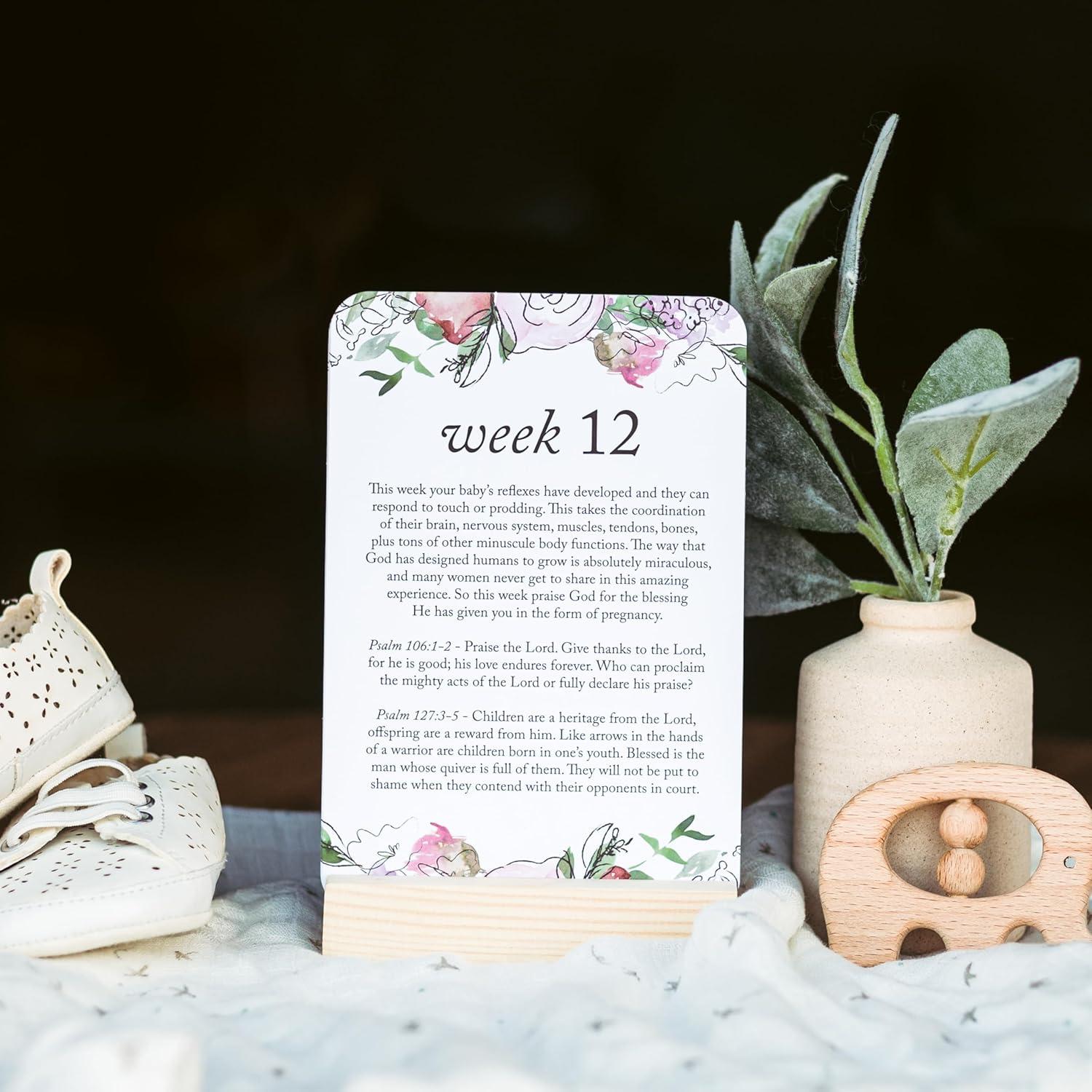 Tarjetas de Hitos de Embarazo Duncan & Stone - 20 Semanas