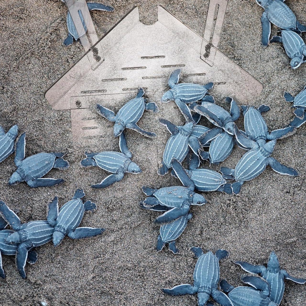 Plataforma de descanso para tortugas VANZACK 29x22x24 cm Acrílico