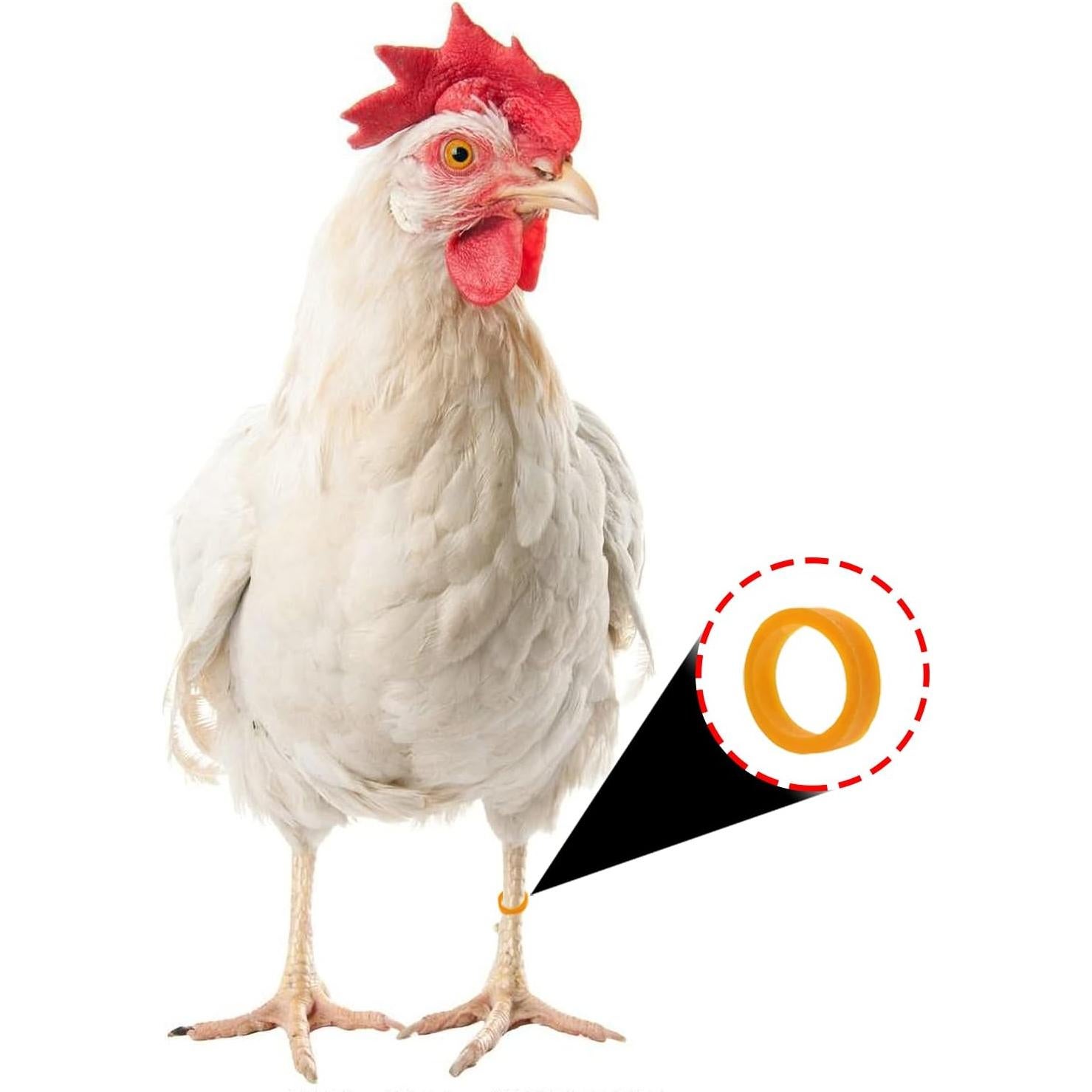 Correas de Silicona Reutilizables ONLYKXY 100 Piezas 16mm ID