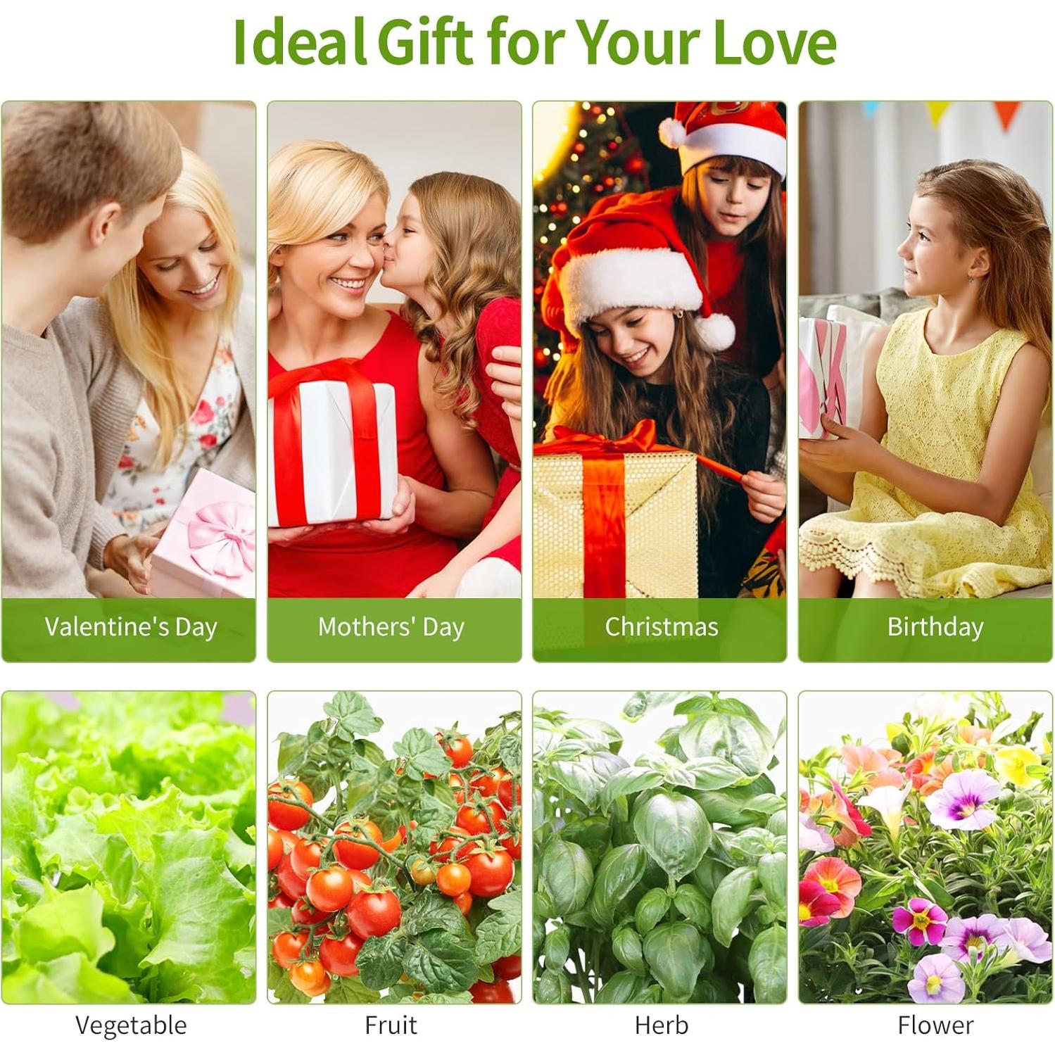 Sistema de Cultivo Hidropónico Dryades Z237 12 Cápsulas LED