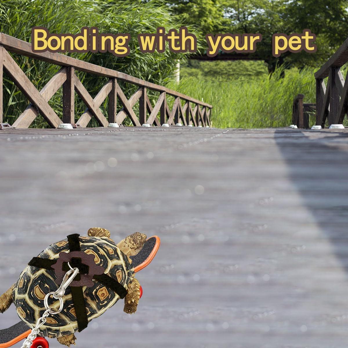 Juego de Juguetes para Tortugas LIhang - Correa y Patineta