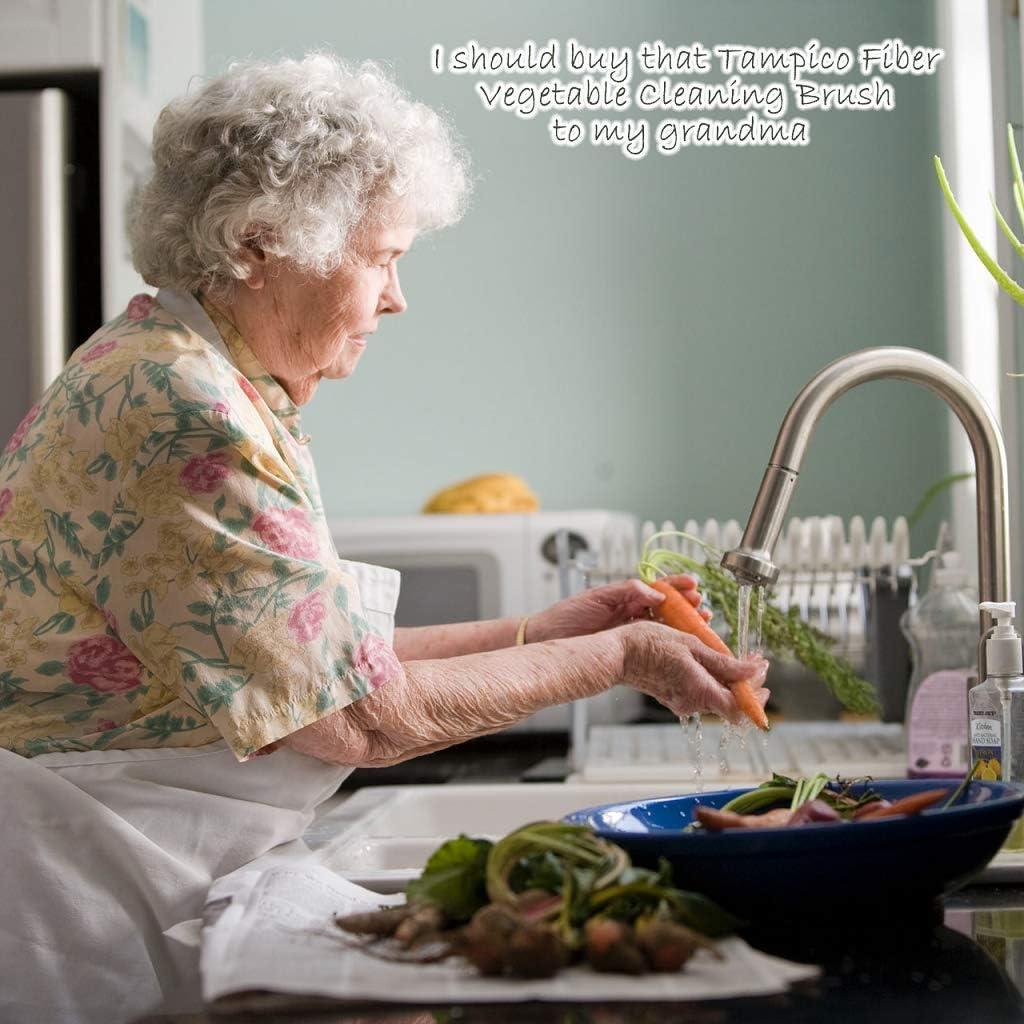 Cepillo de Platos AMERWASH PLUS con Mango de Madera y 3 Repuestos