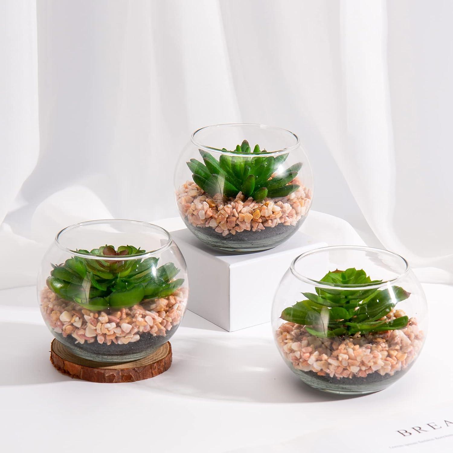 Briful Mini Suculentas Artificiales en Jarrón de Vidrio - 3 Piezas