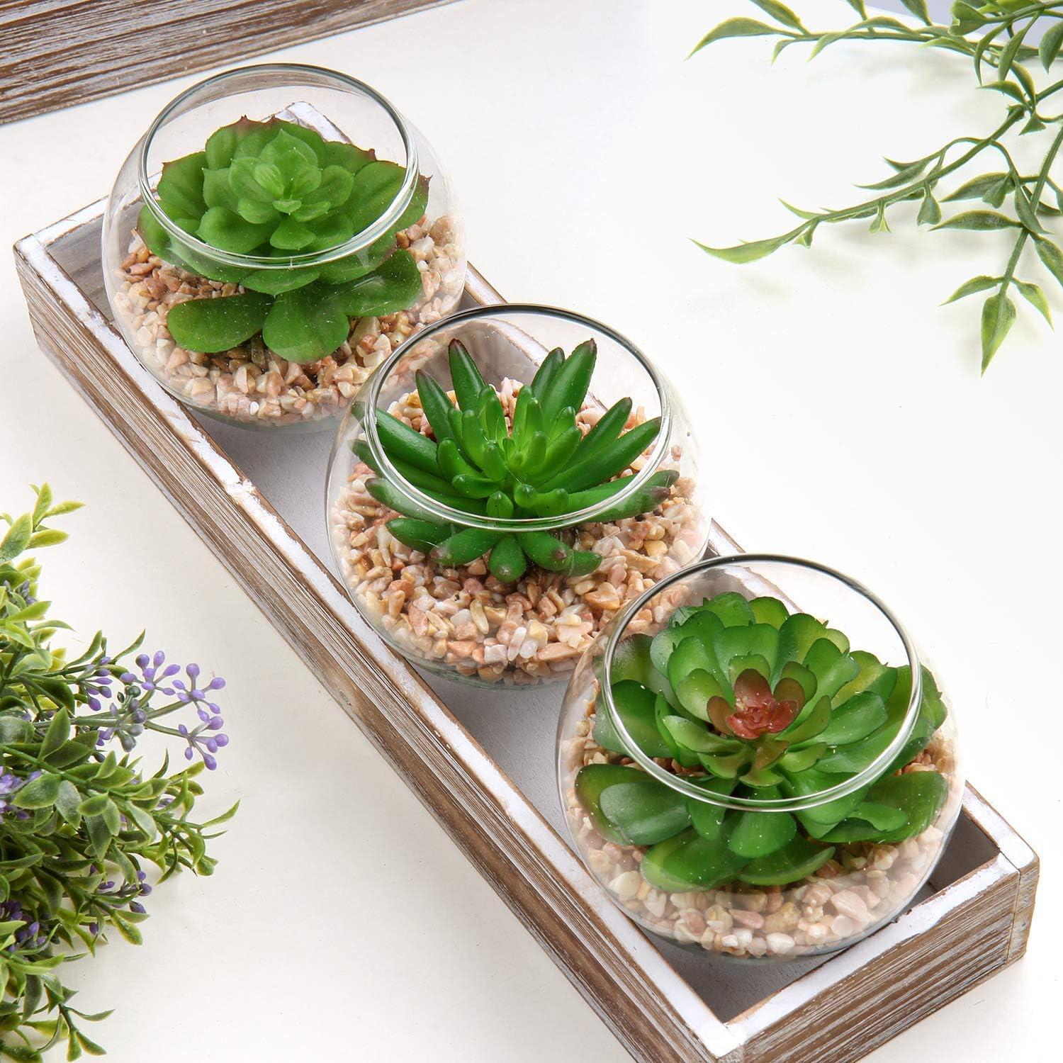 Briful Mini Suculentas Artificiales en Jarrón de Vidrio - 3 Piezas
