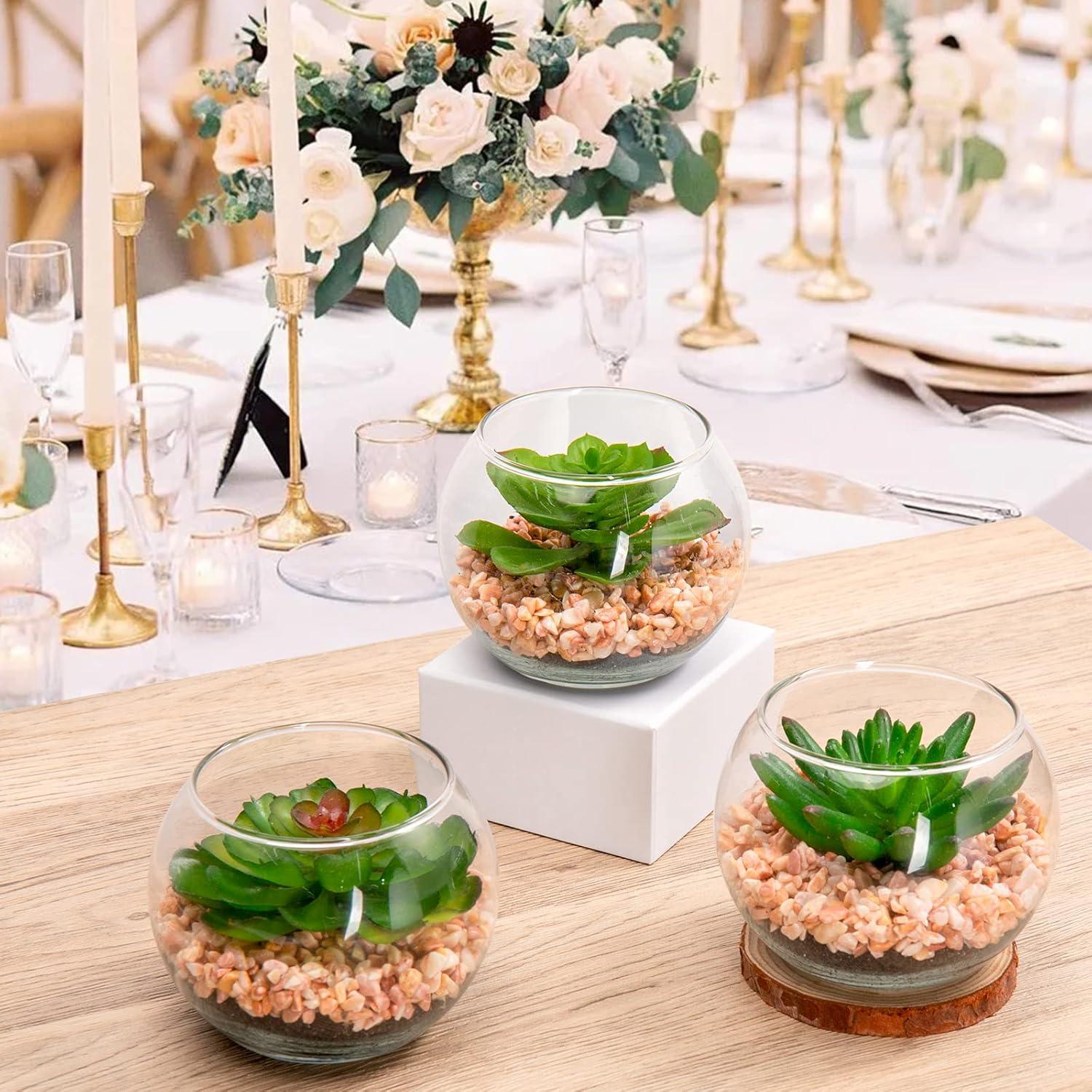 Briful Mini Suculentas Artificiales en Jarrón de Vidrio - 3 Piezas