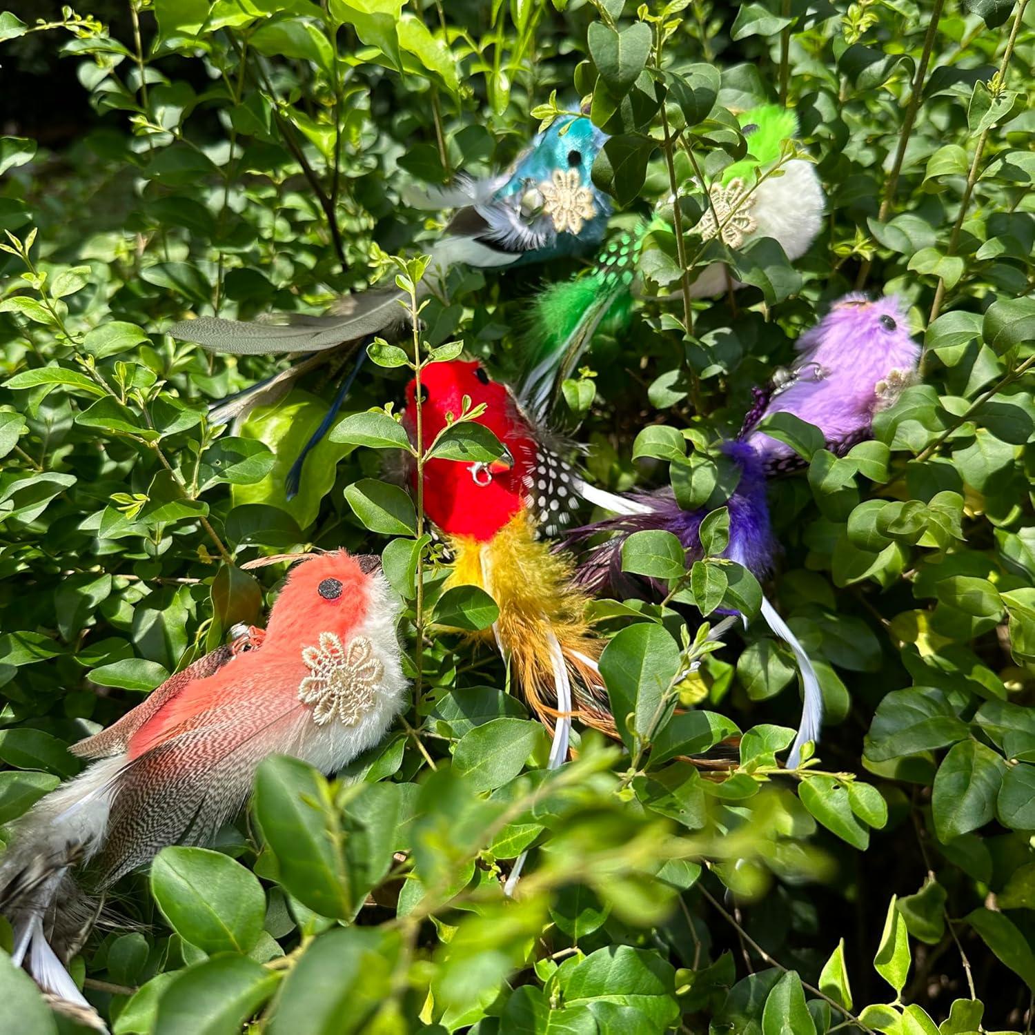 Recargas de Juguetes de Plumas para Gatos CATENEED 5 Piezas