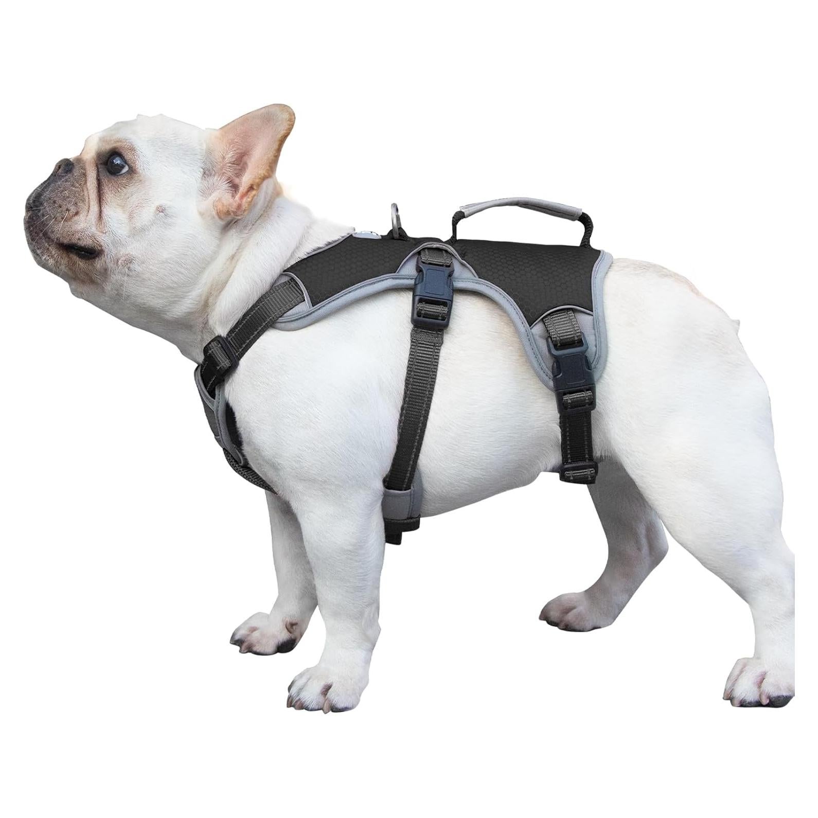 Arnés para Perros Huntboo a Prueba de Escape Negro S