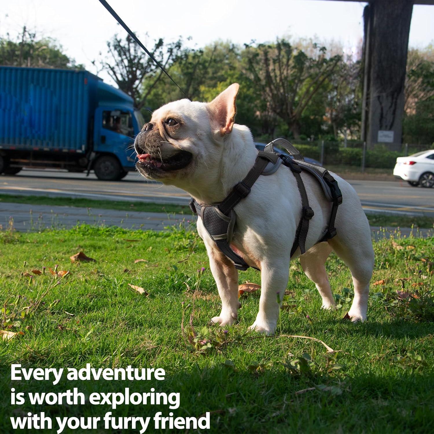 Arnés para Perros Huntboo a Prueba de Escape Negro S