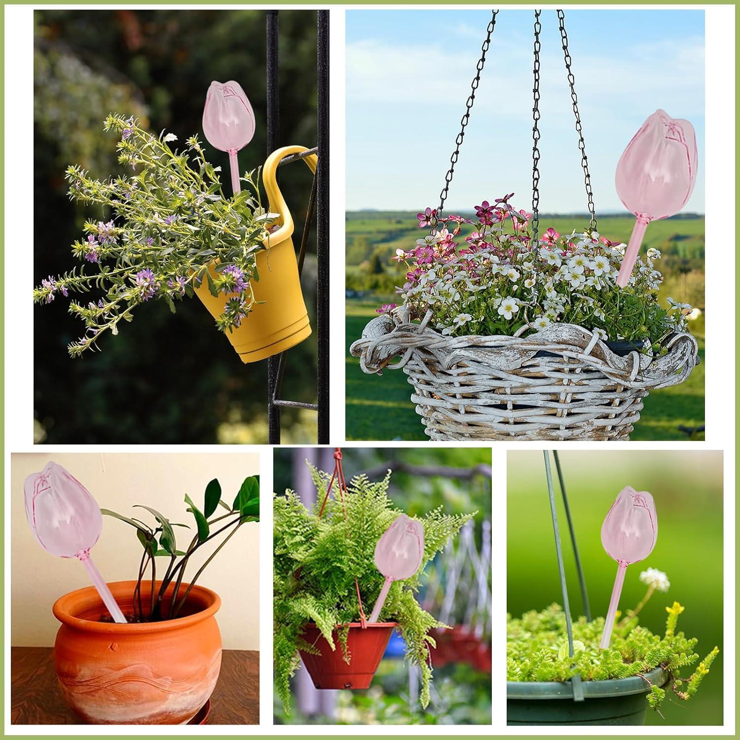 Esferas de Riego de Vidrio Luyseyha 2 PCS 170ml Tulipán