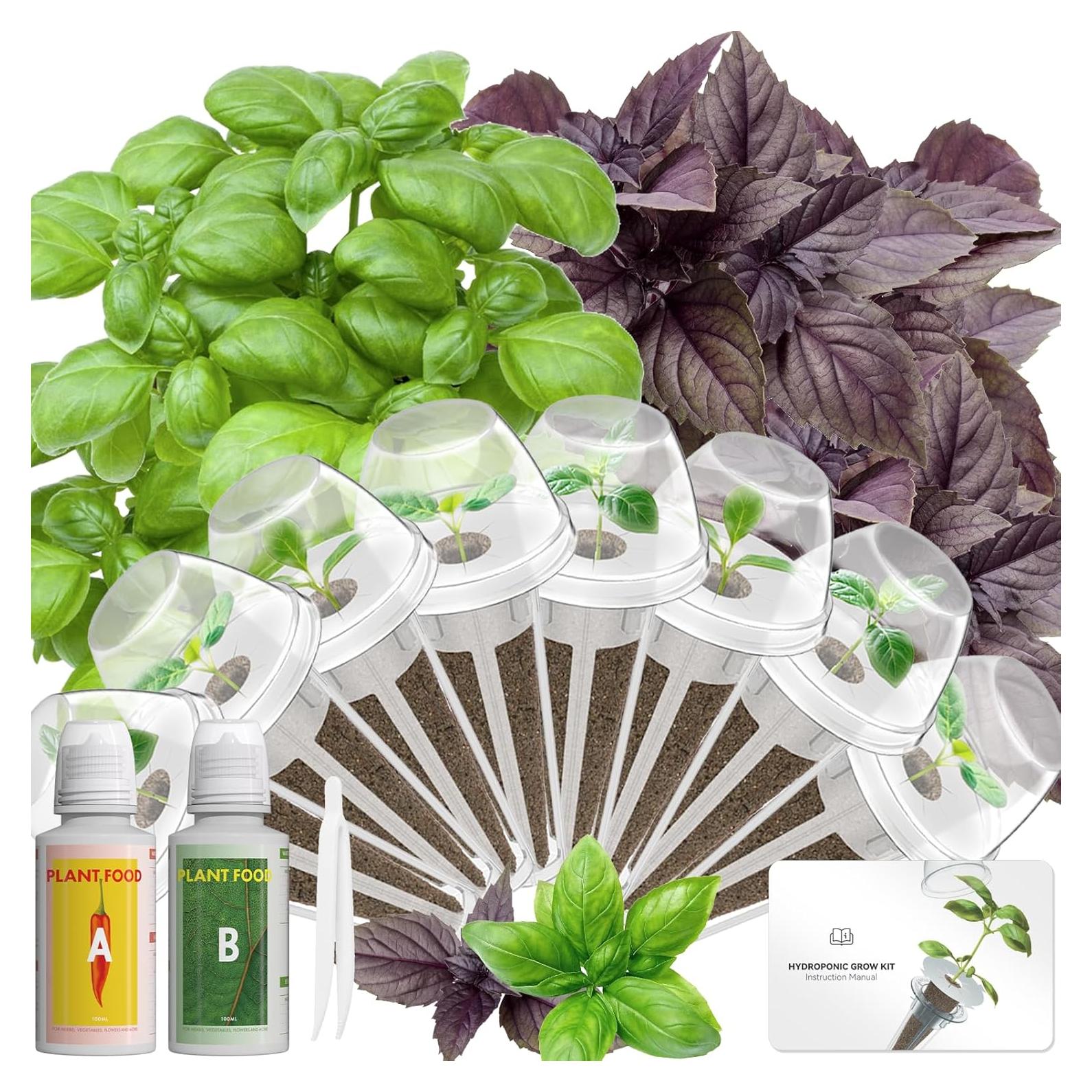 Kit de Vaso Hidropónico LYKOCLEAN 8 Vasos con Albahaca