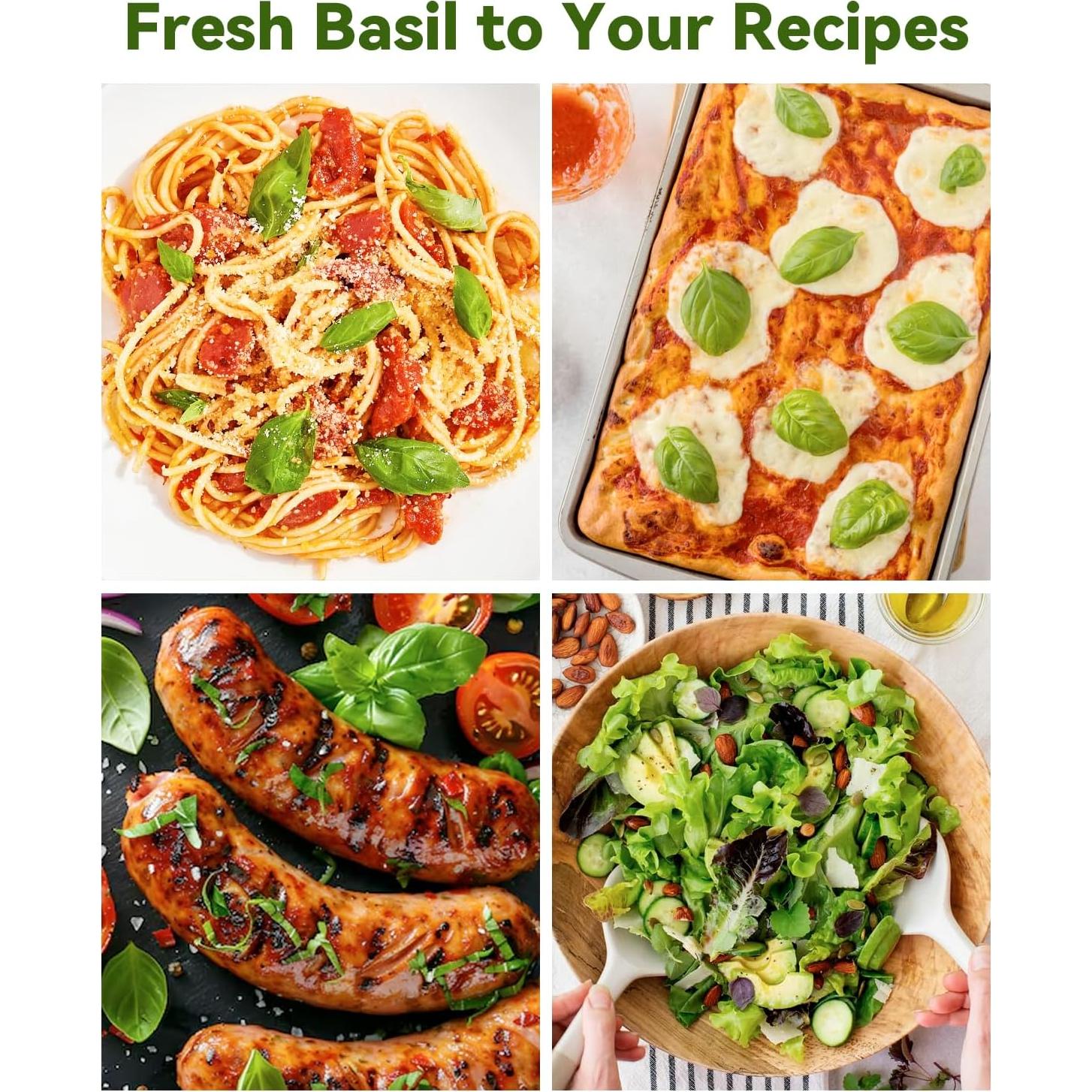 Kit de Vaso Hidropónico LYKOCLEAN 8 Vasos con Albahaca