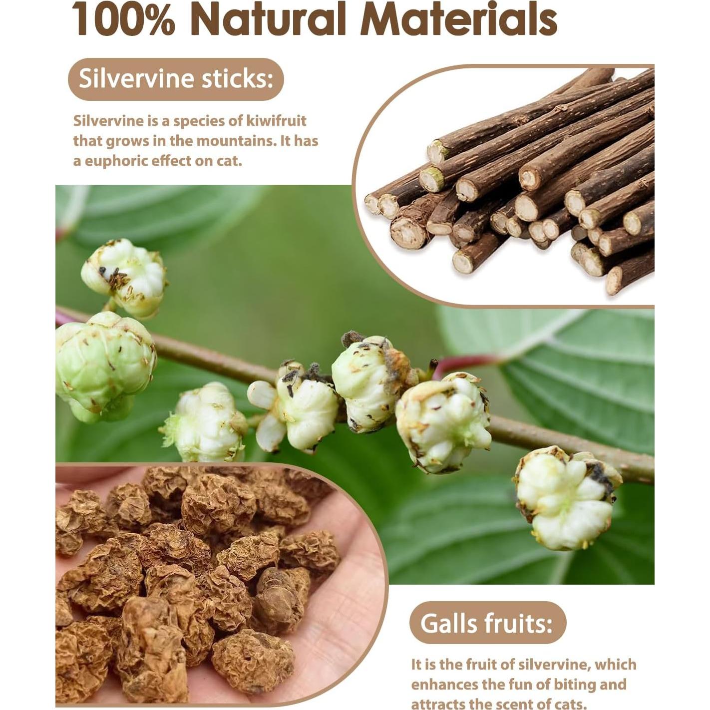 Juguetes Masticables para Gatitos Tocirelo - 6 Piezas con Plumas