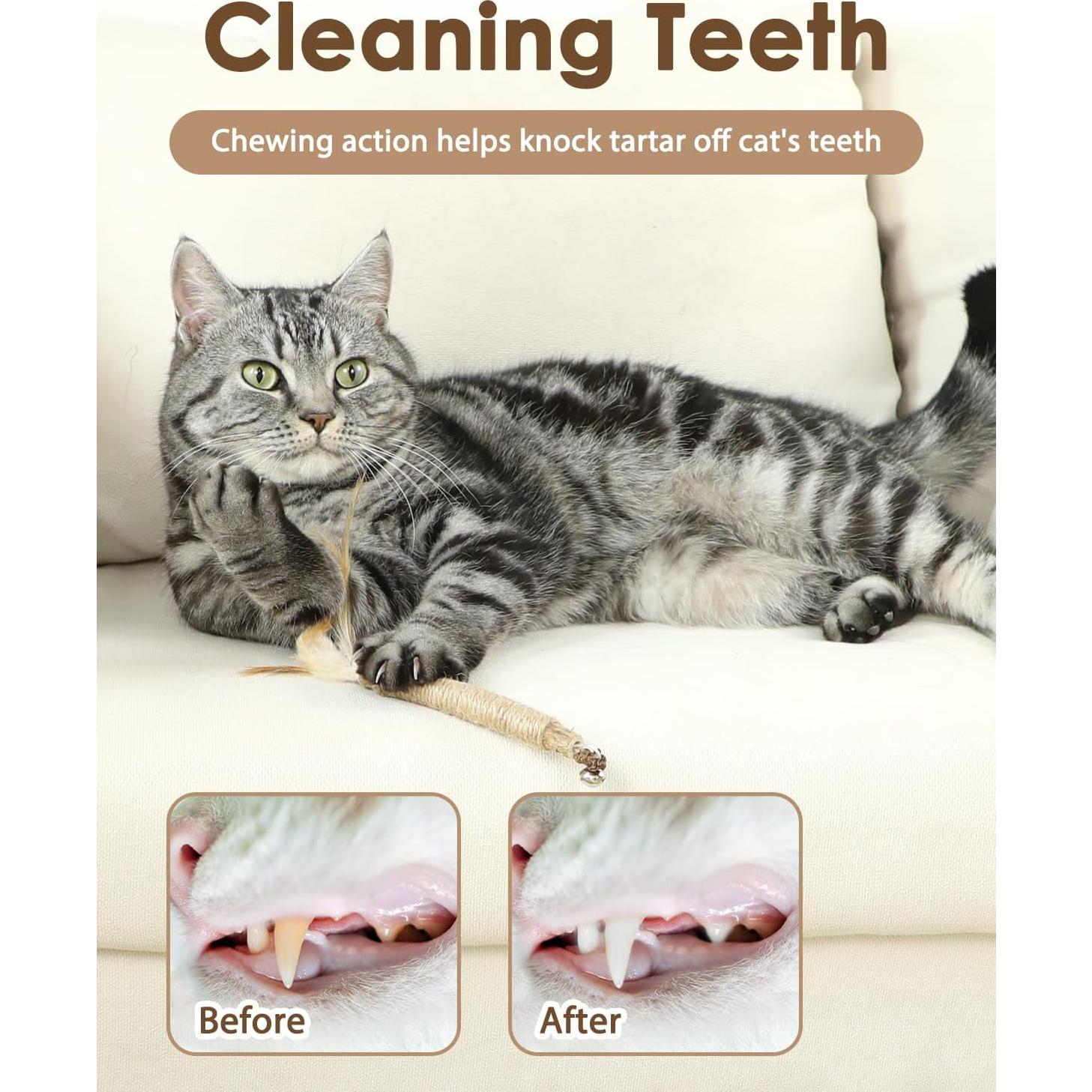 Juguetes Masticables para Gatitos Tocirelo - 6 Piezas con Plumas