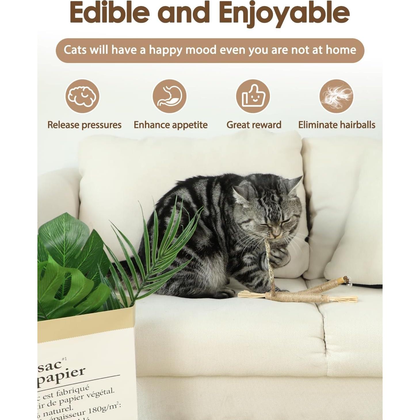 Juguetes Masticables para Gatitos Tocirelo - 6 Piezas con Plumas