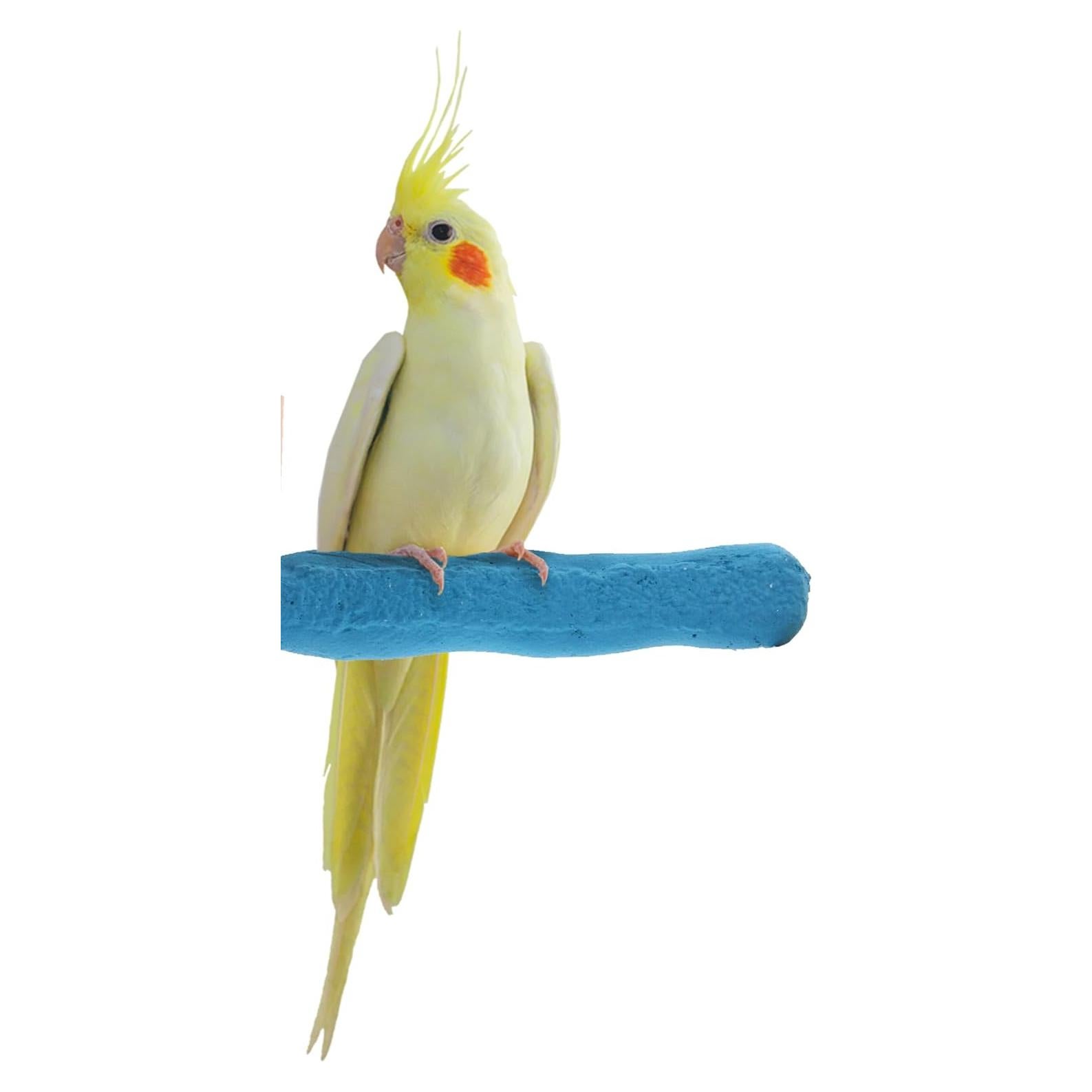 Percha de Seguridad para Aves Sweet Feet X-Pequeña 11.43 cm