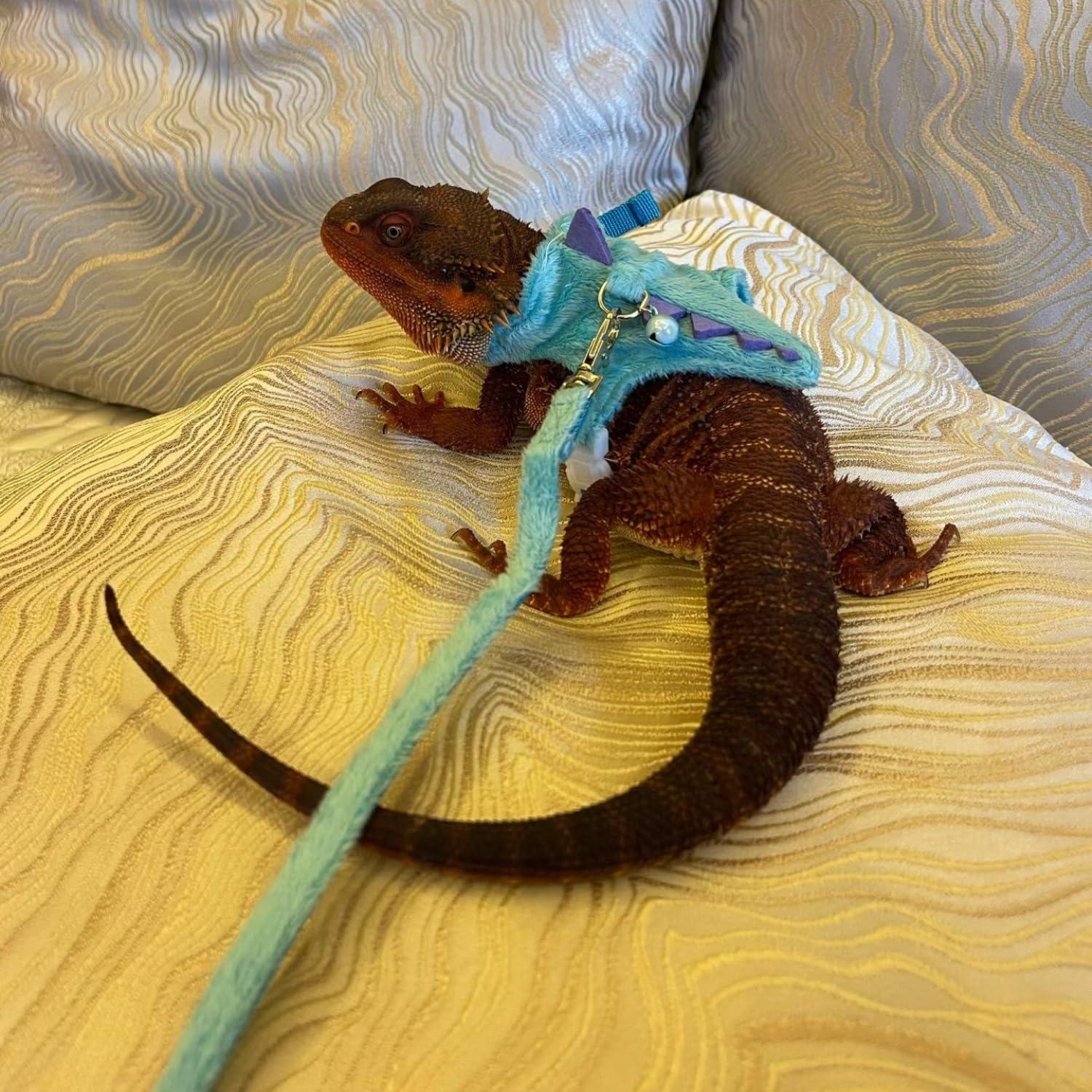 Conjunto Arnés y Correa SEZDEKI para Dragón Barbudo Azul