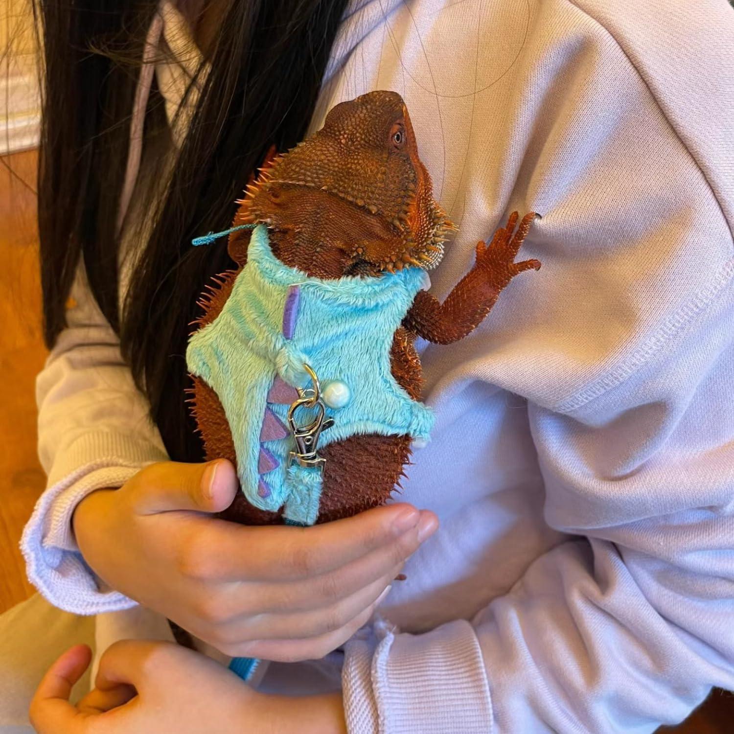 Conjunto Arnés y Correa SEZDEKI para Dragón Barbudo Azul