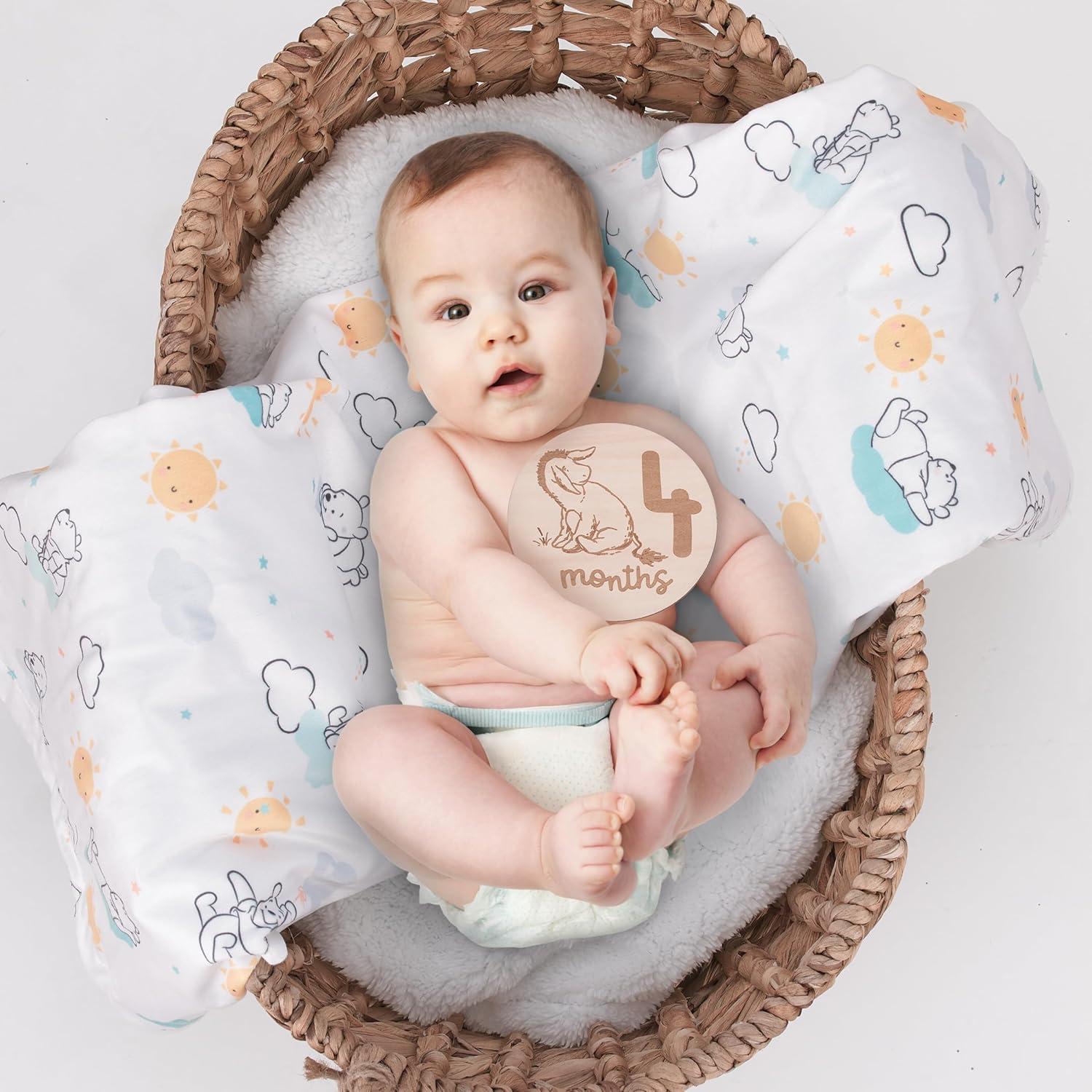 Tarjetas de Hitos de Madera Disney Winnie the Pooh 12 Piezas