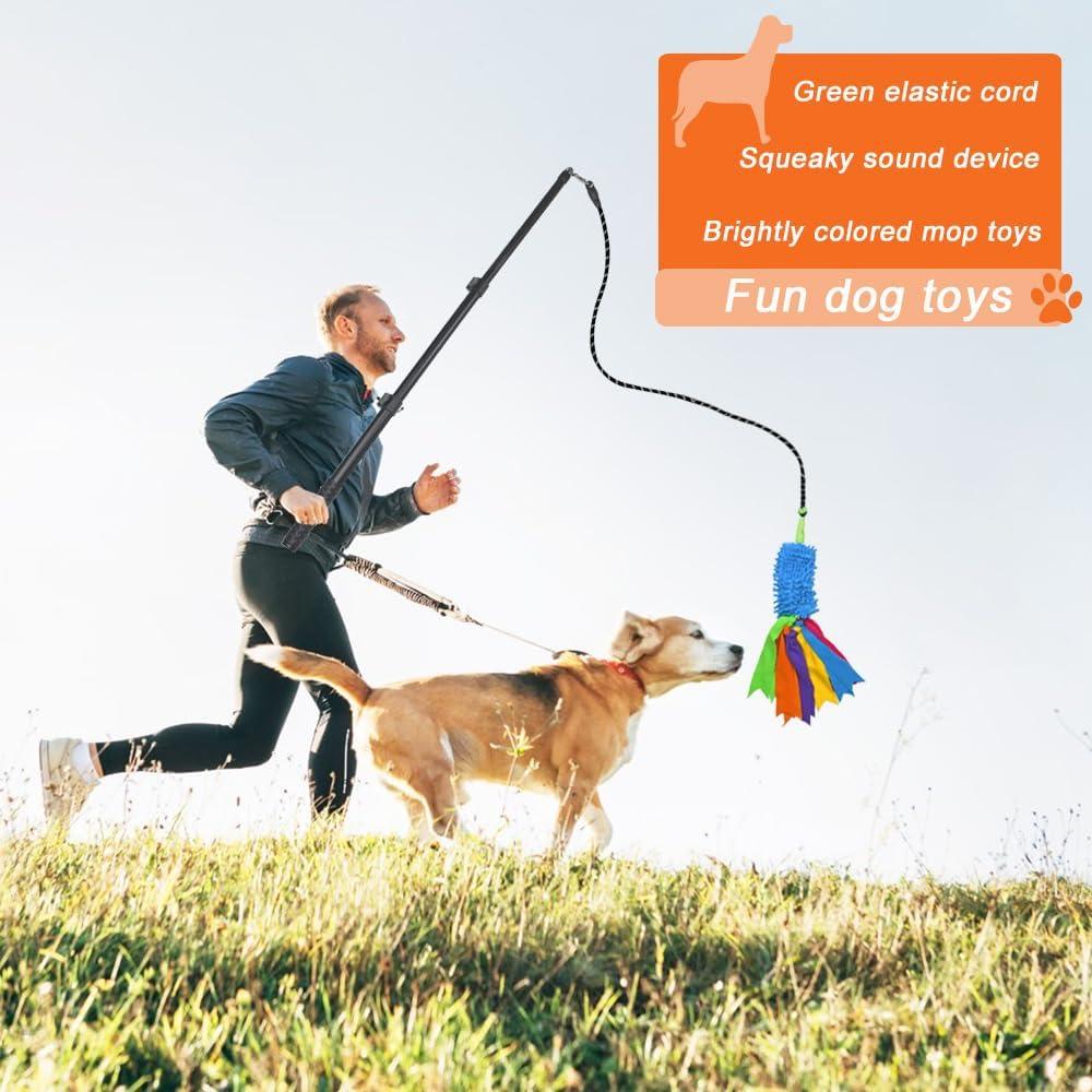 Palo de Coqueteo Interactivo ASOCEA para Perros Ajustable